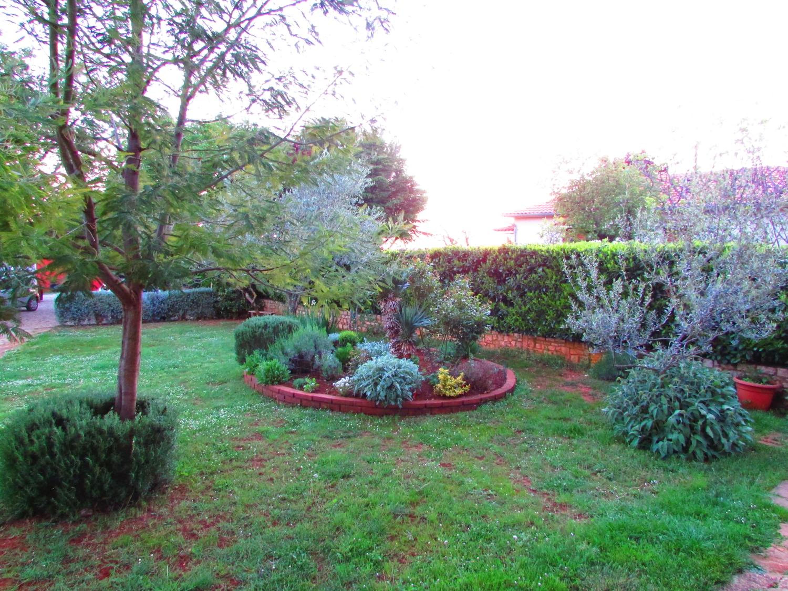 Photo 36