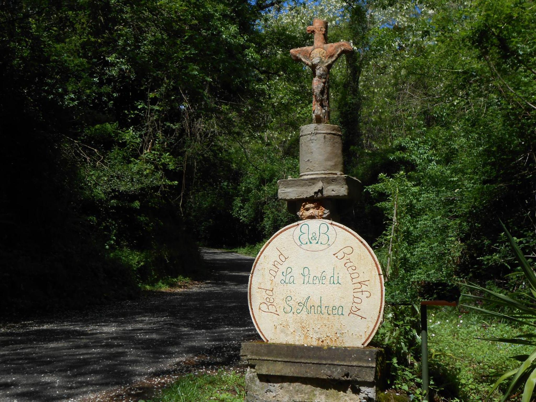 Photo 27