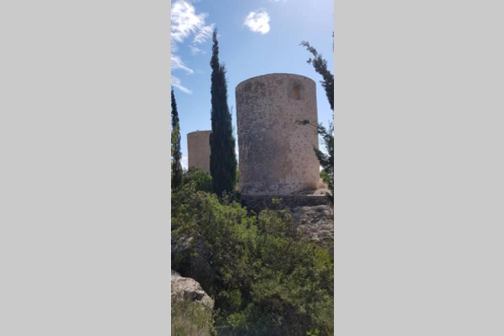 JAVEA PARK 4-21 photo 5