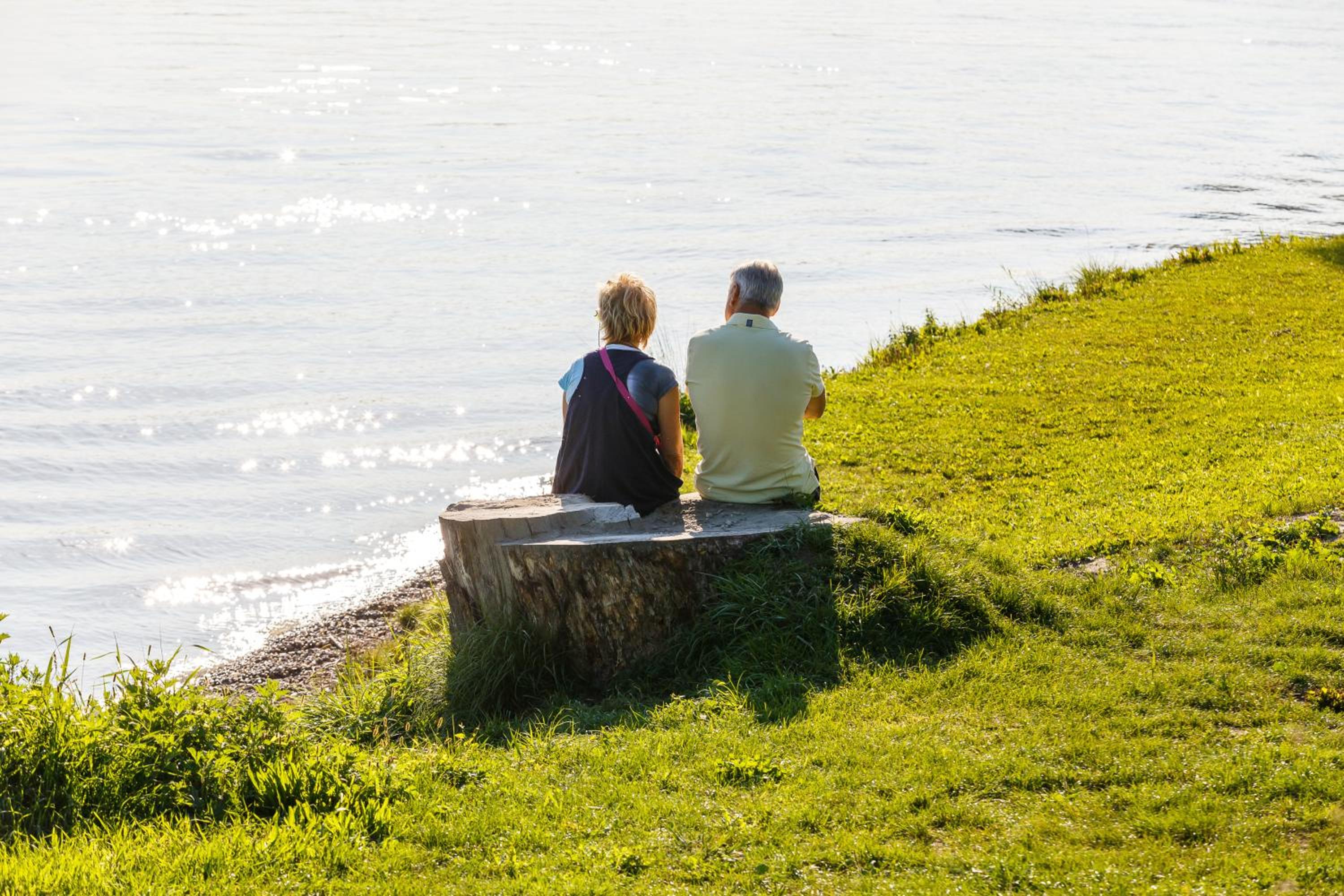 Camping & Pension Au an der Donau
