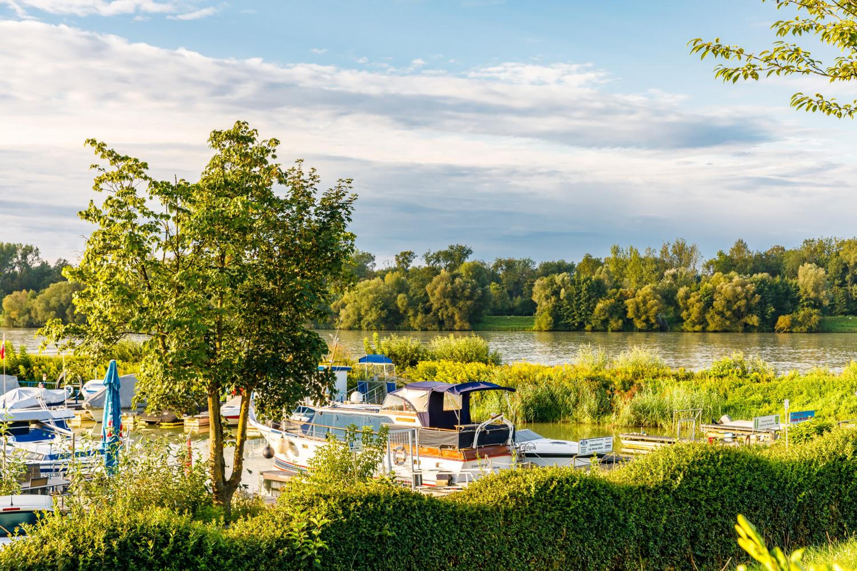 Camping & Pension Au an der Donau