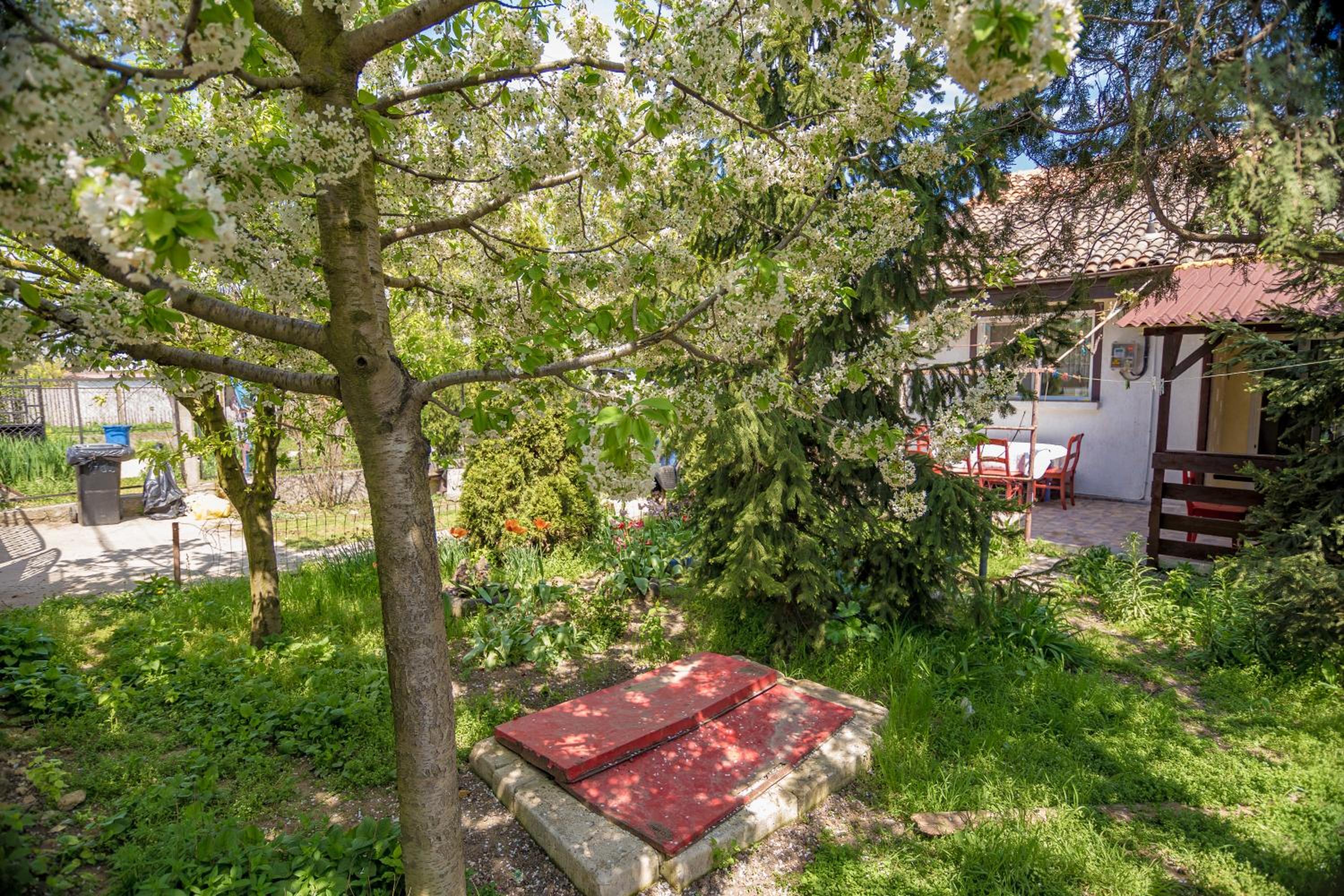 Old House view 4