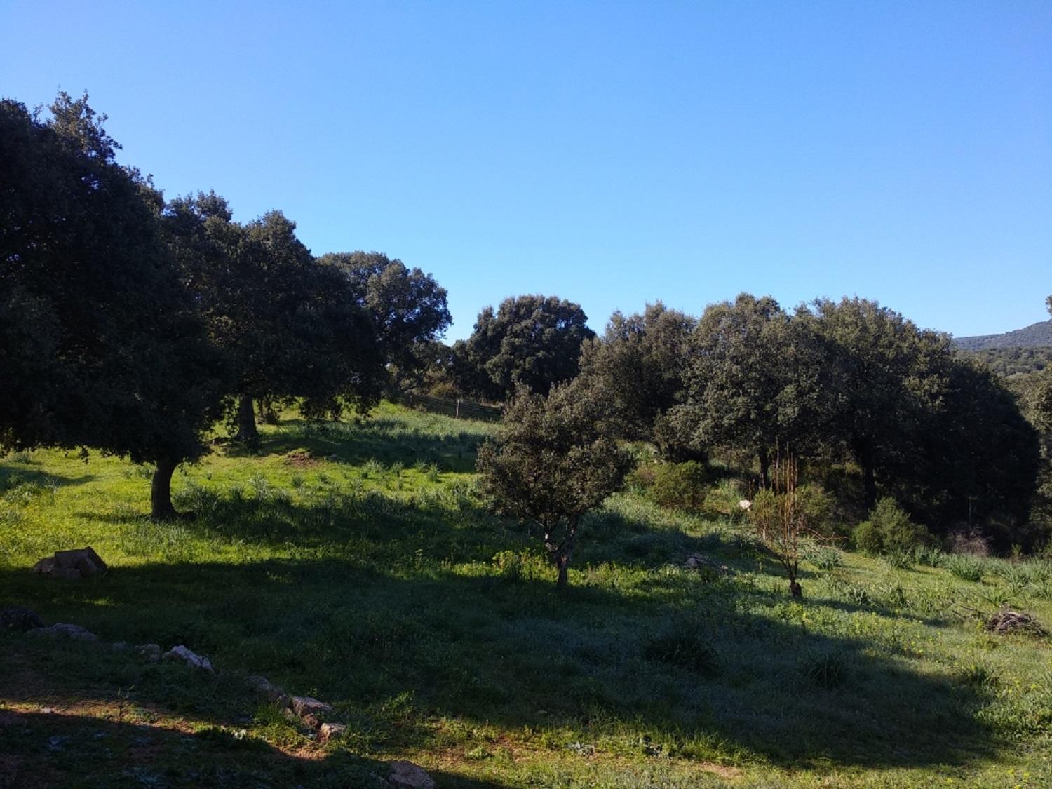 Sherdana's view 3