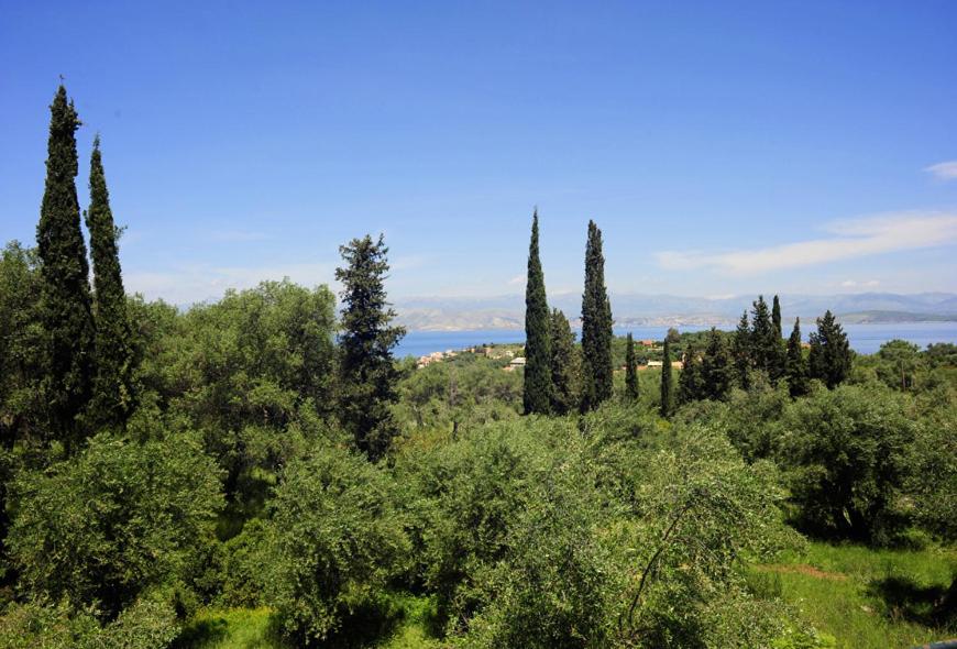Villa Faidra photo 3