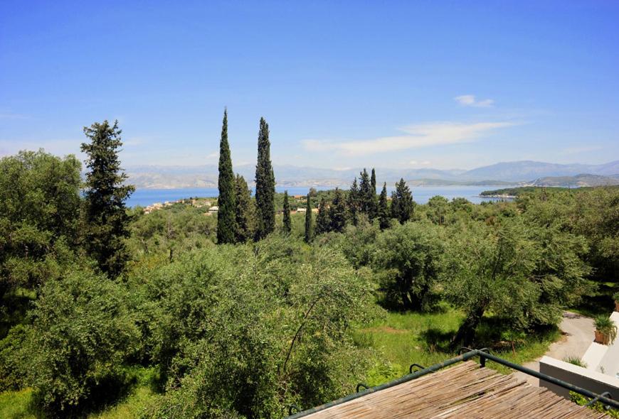 Villa Faidra photo 4