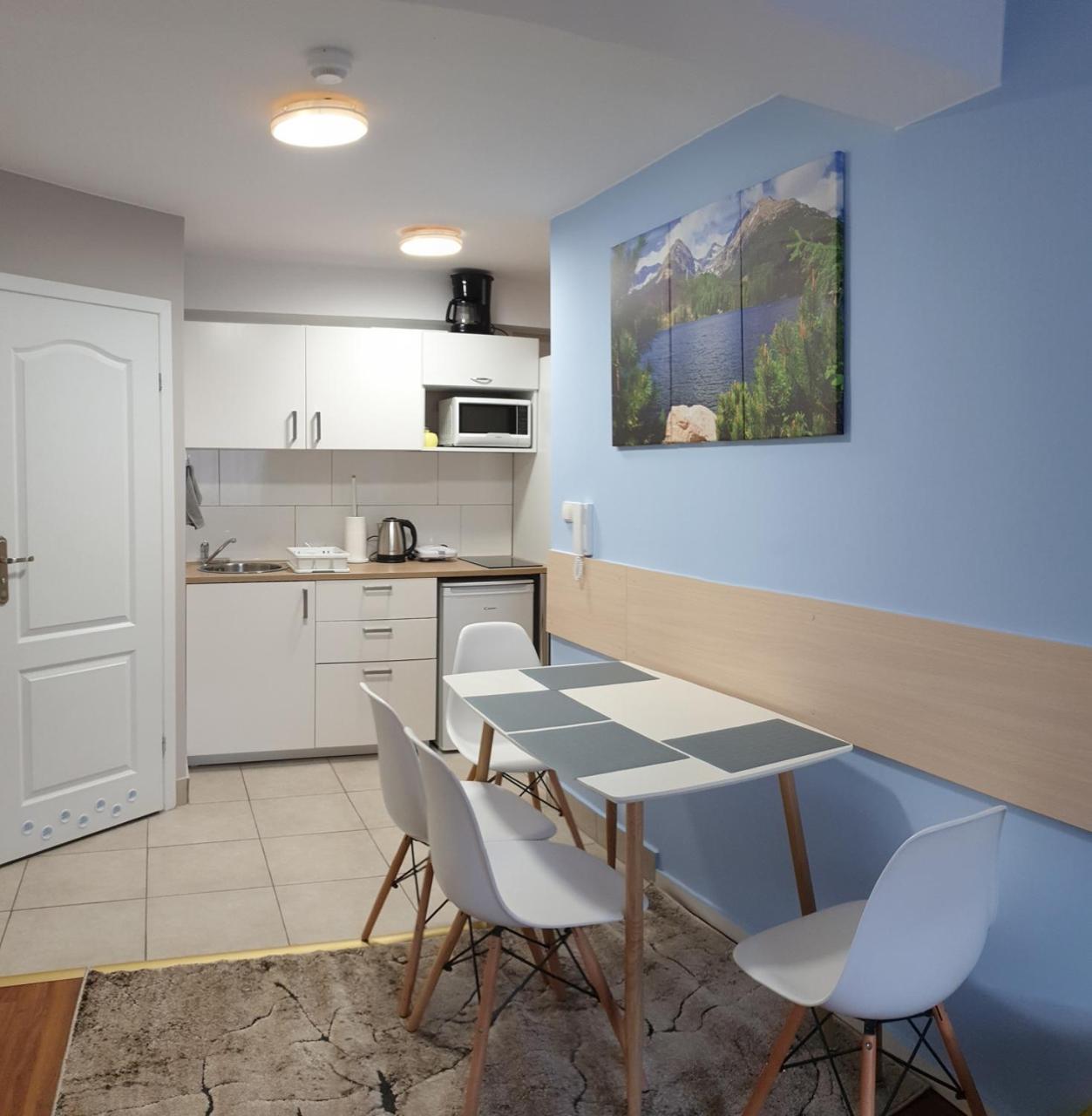 Pałac Tatrzański Apartament Tatry view 5