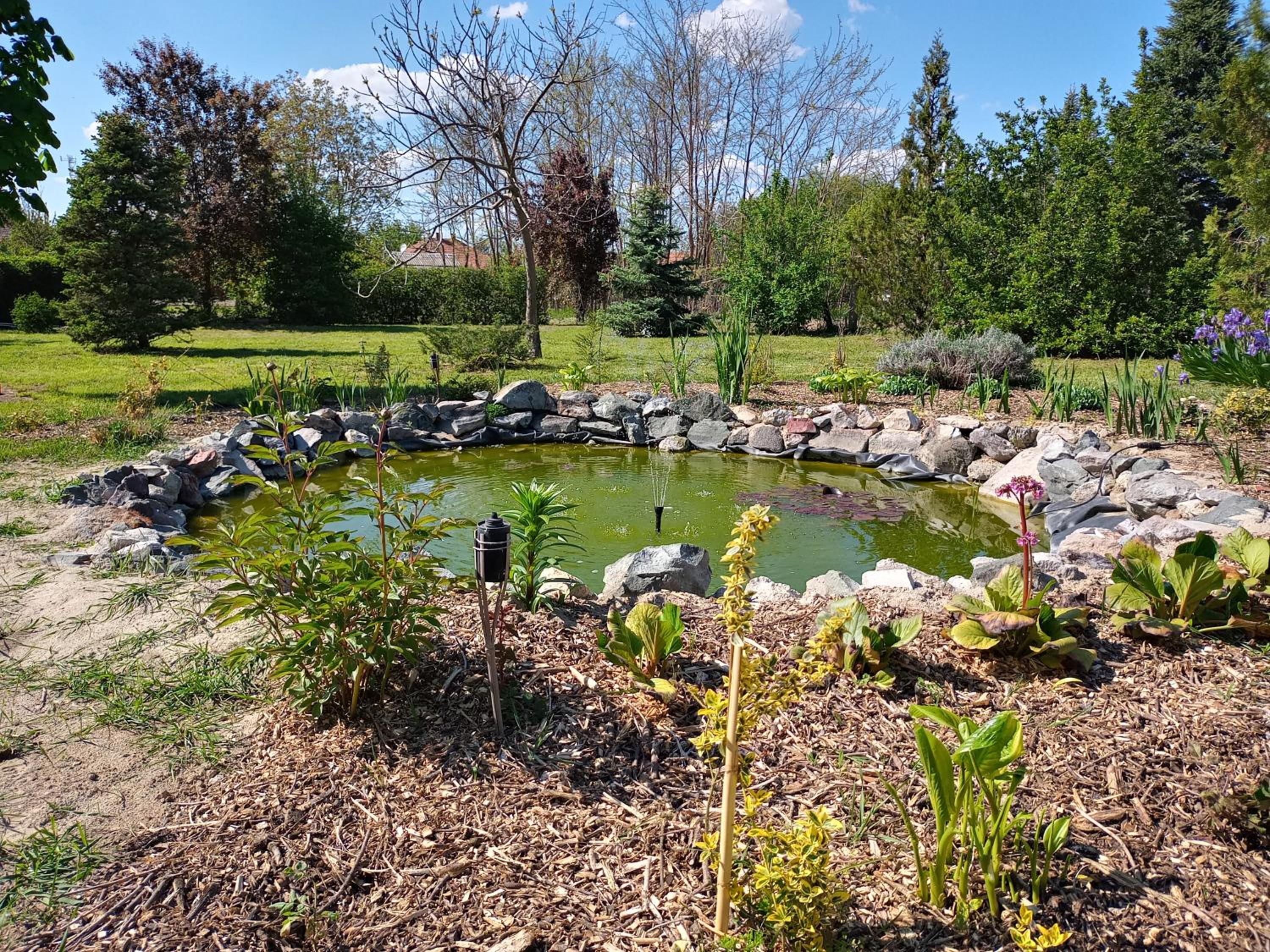 Photo 25