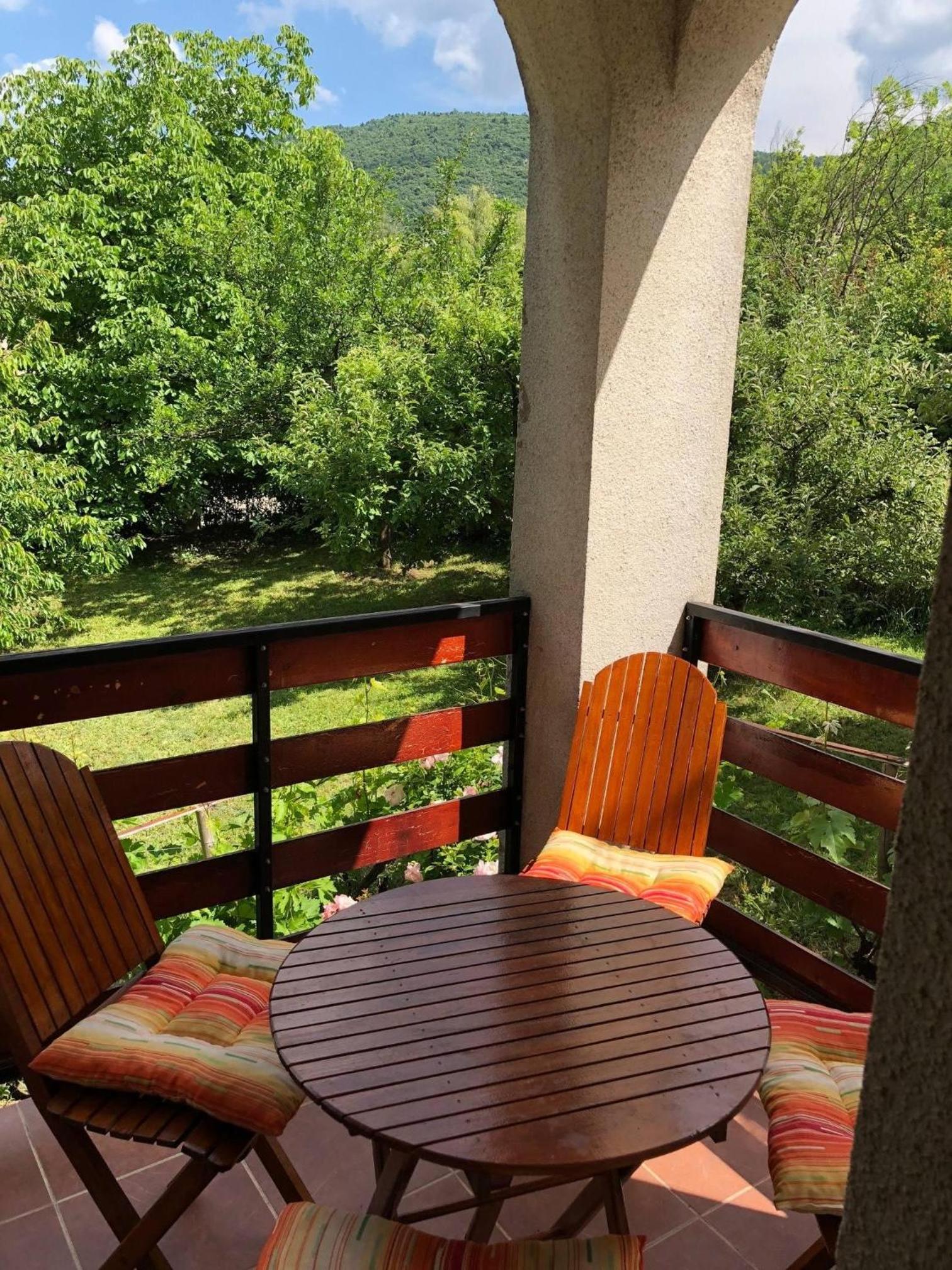 Ozrenska Bašta Apartments view 4