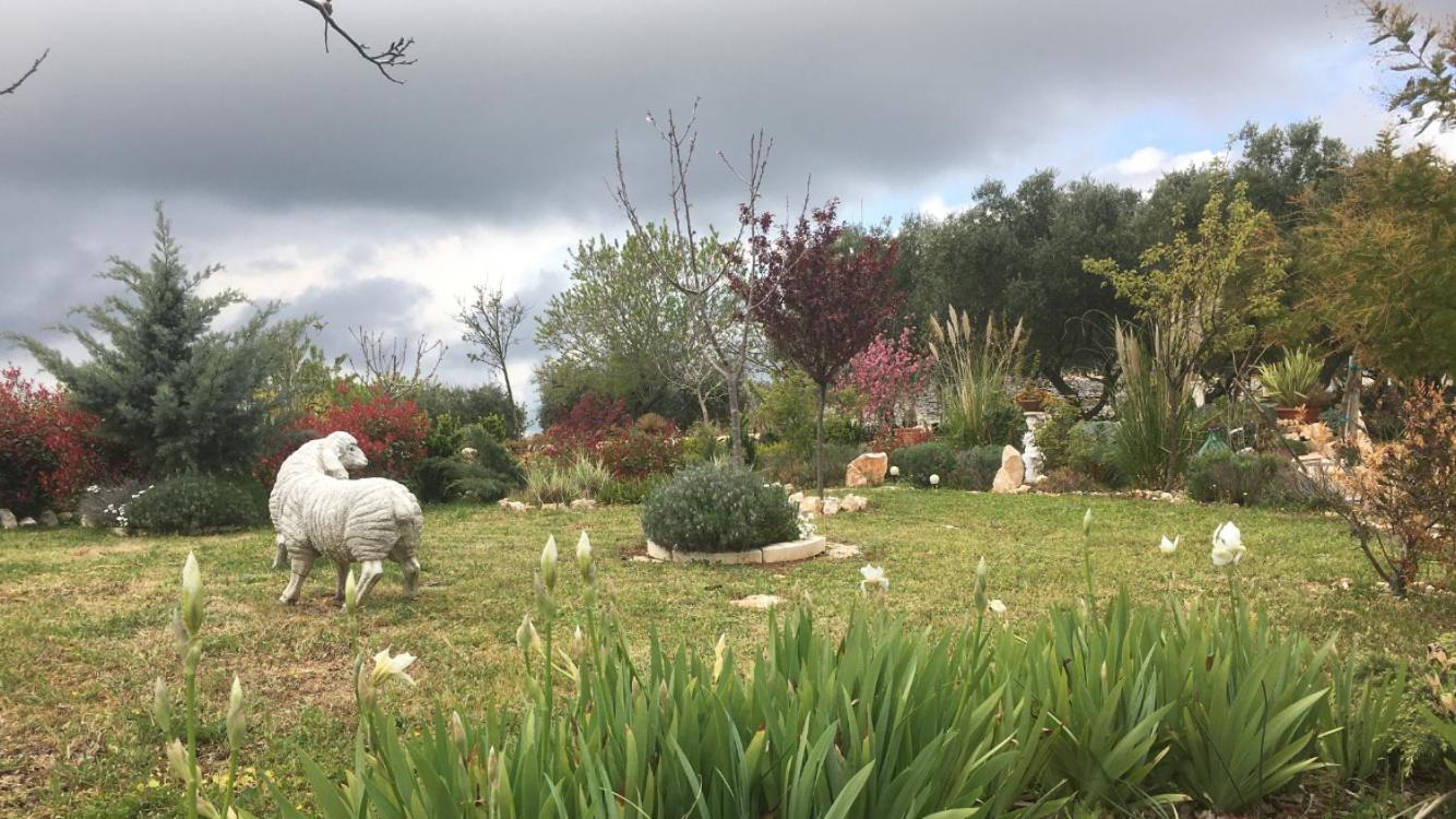 16 Trulli e Giardini
