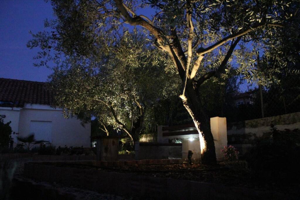 Photo 25