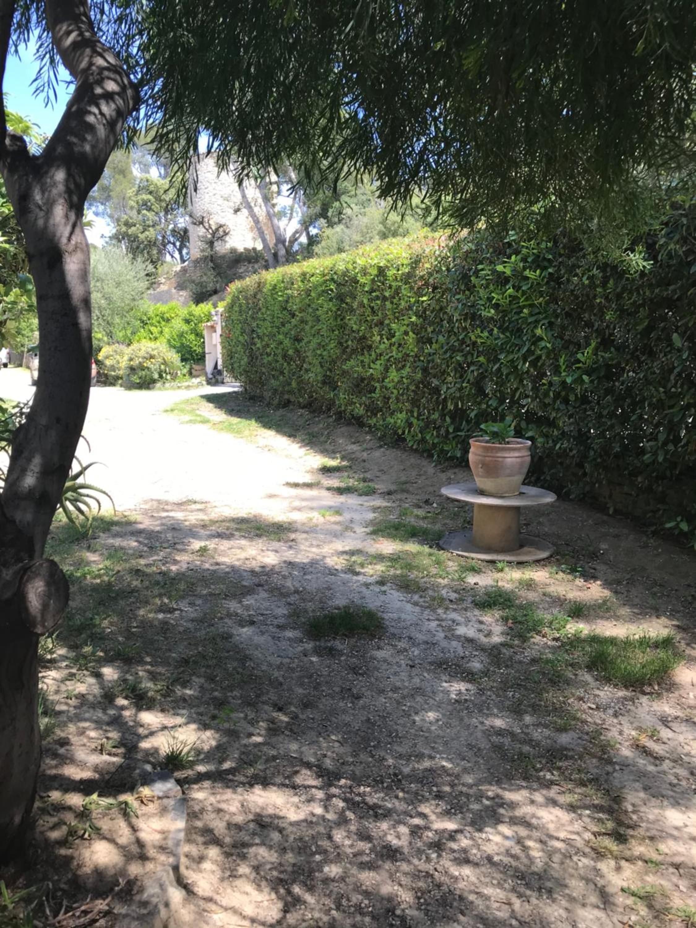 Photo 12