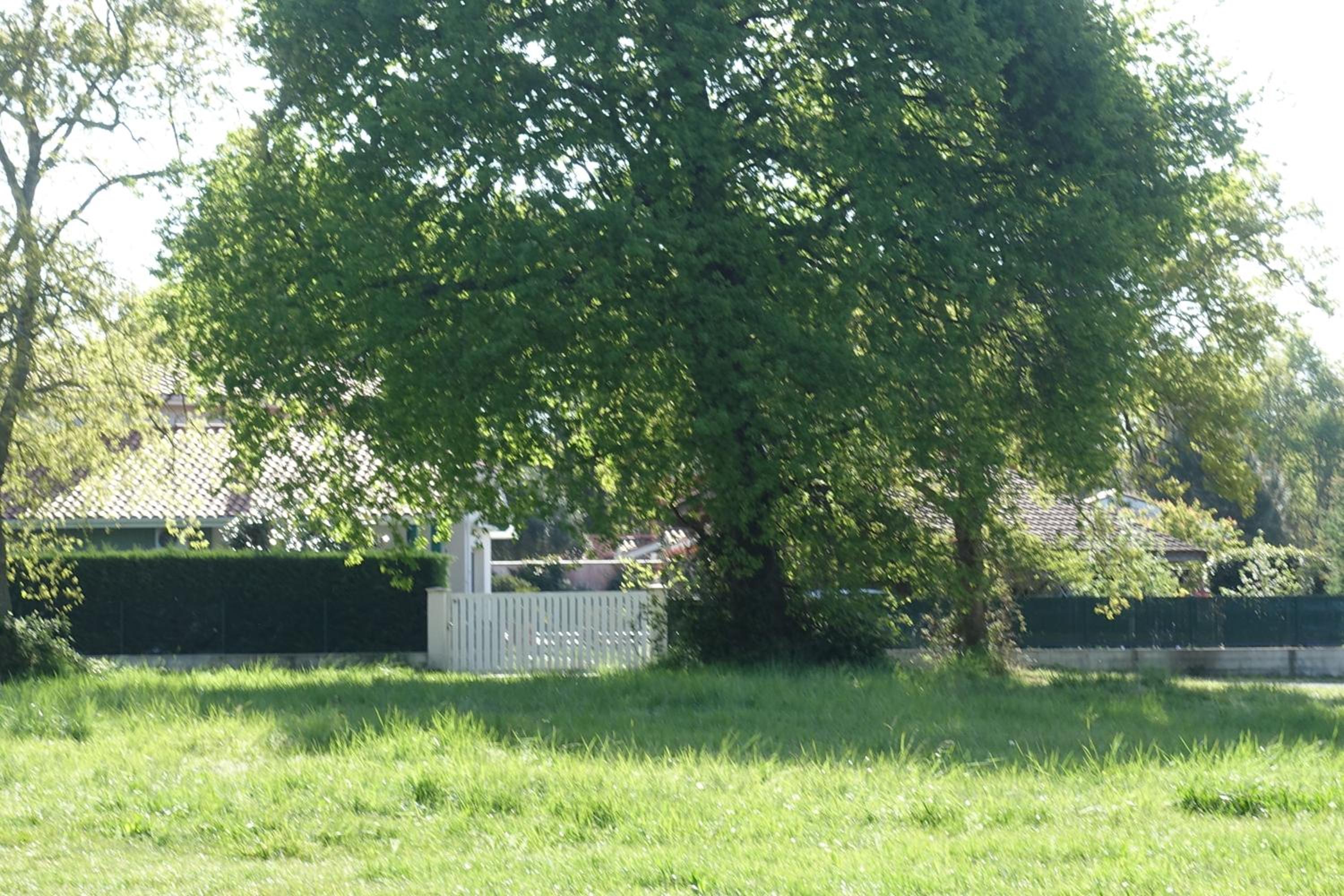 l Annexe