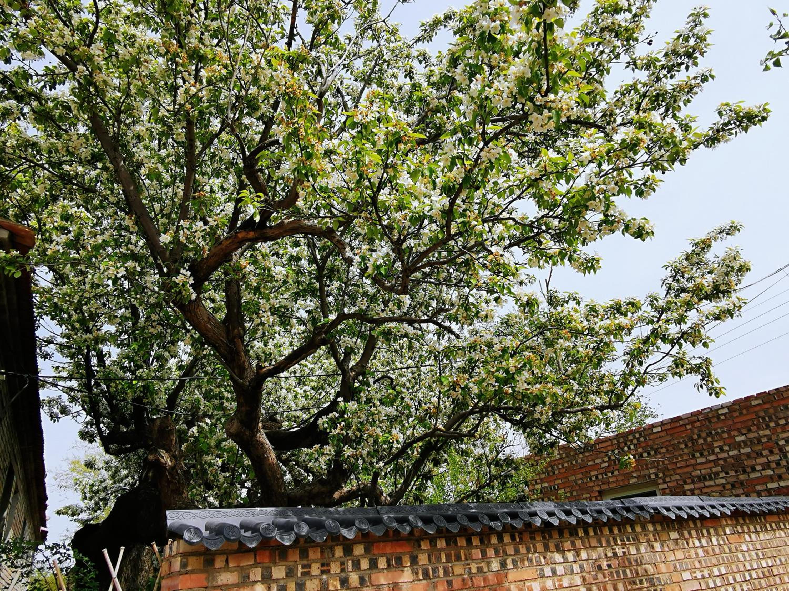 Air Cloud Guesthouse