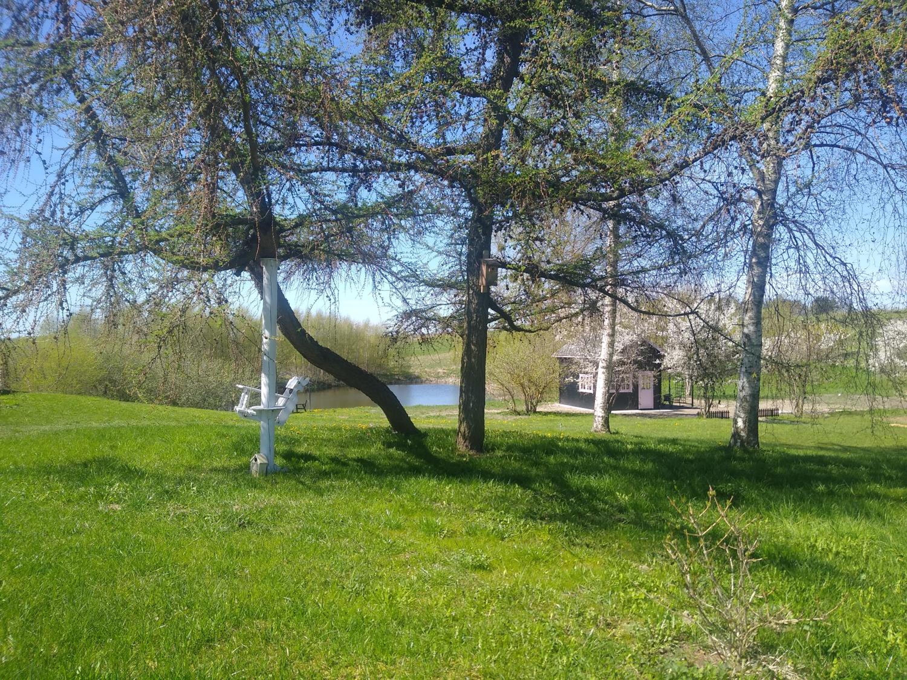 Photo 12