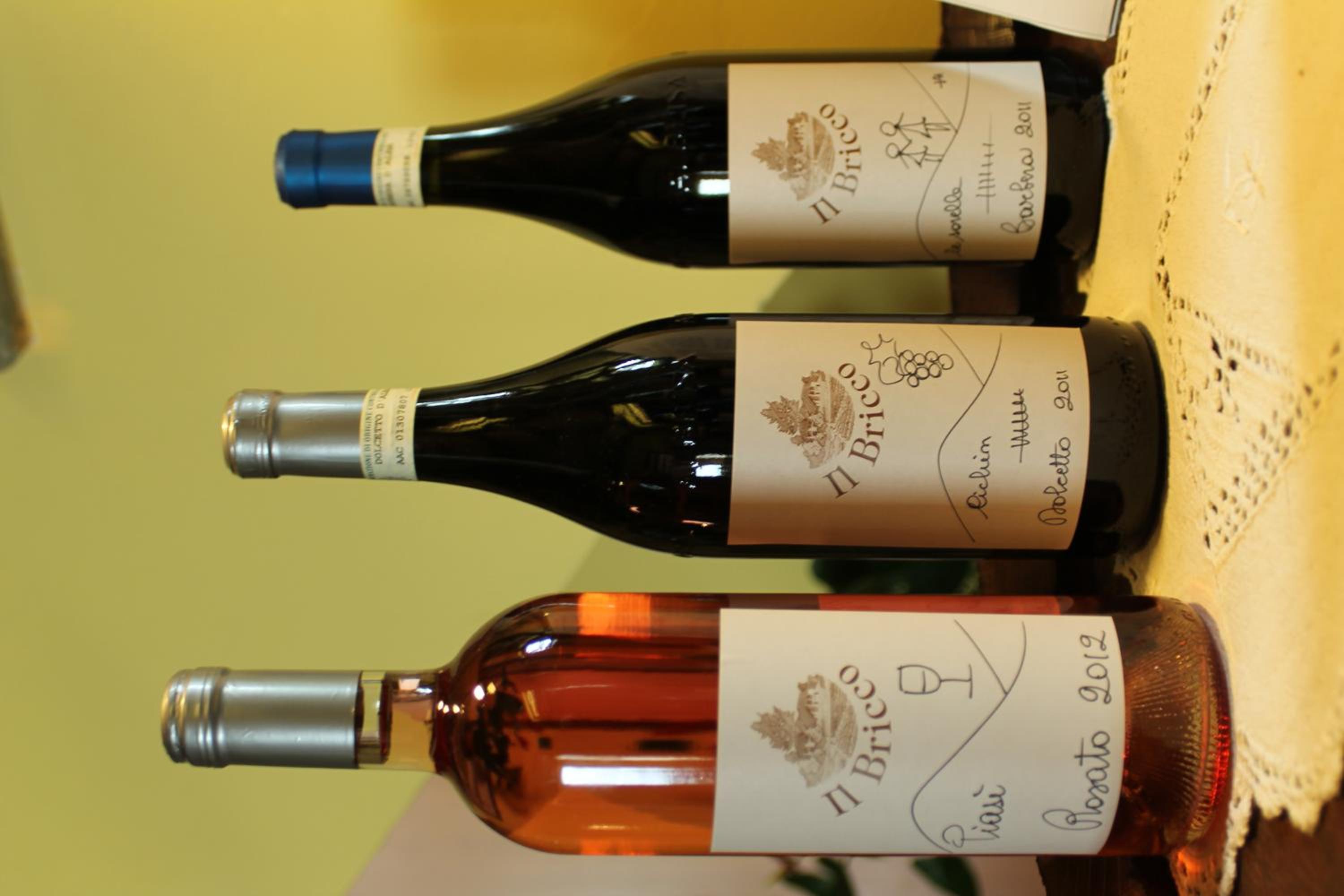 Agriturismo Il Bricco