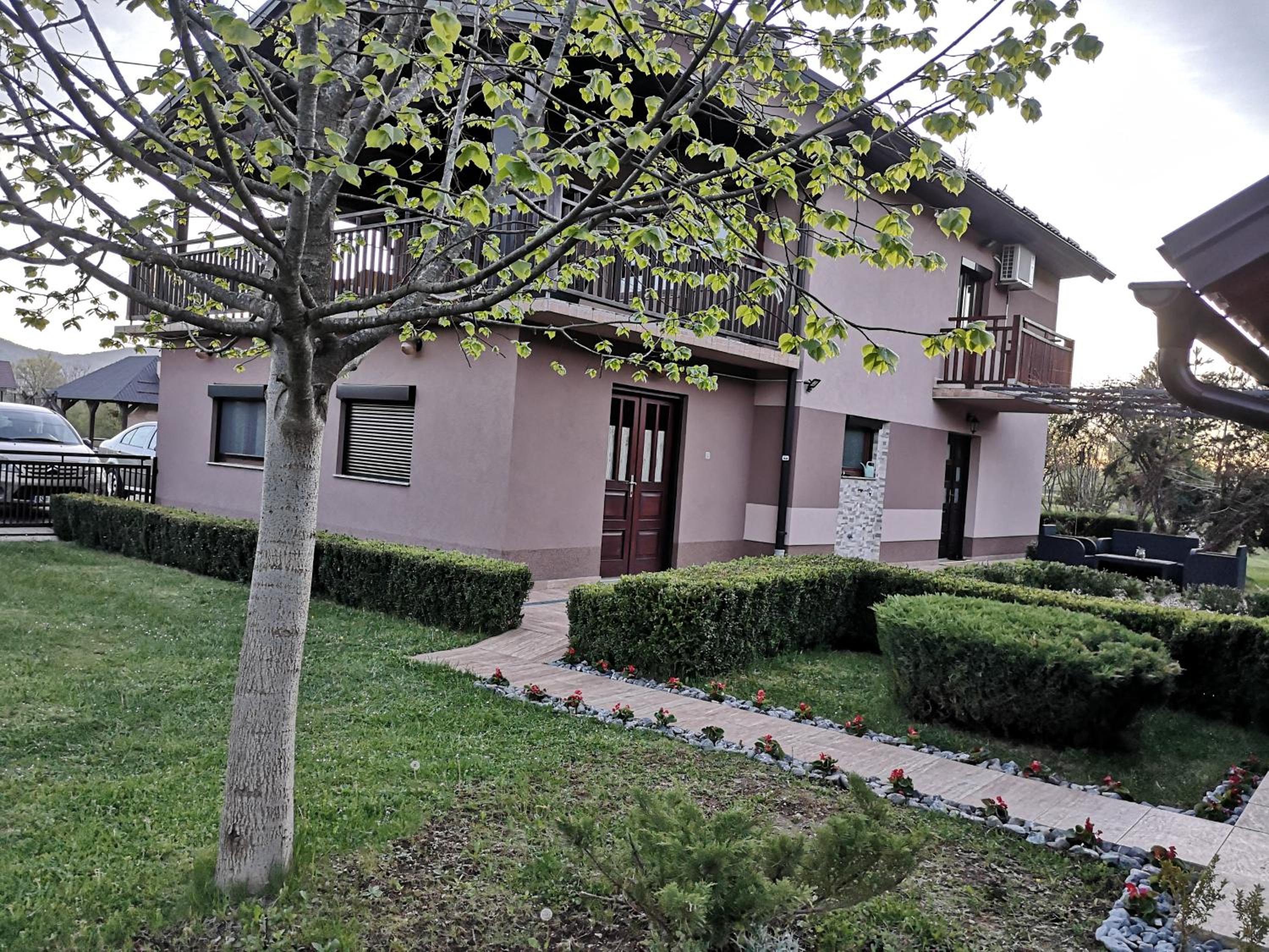 Photo 41