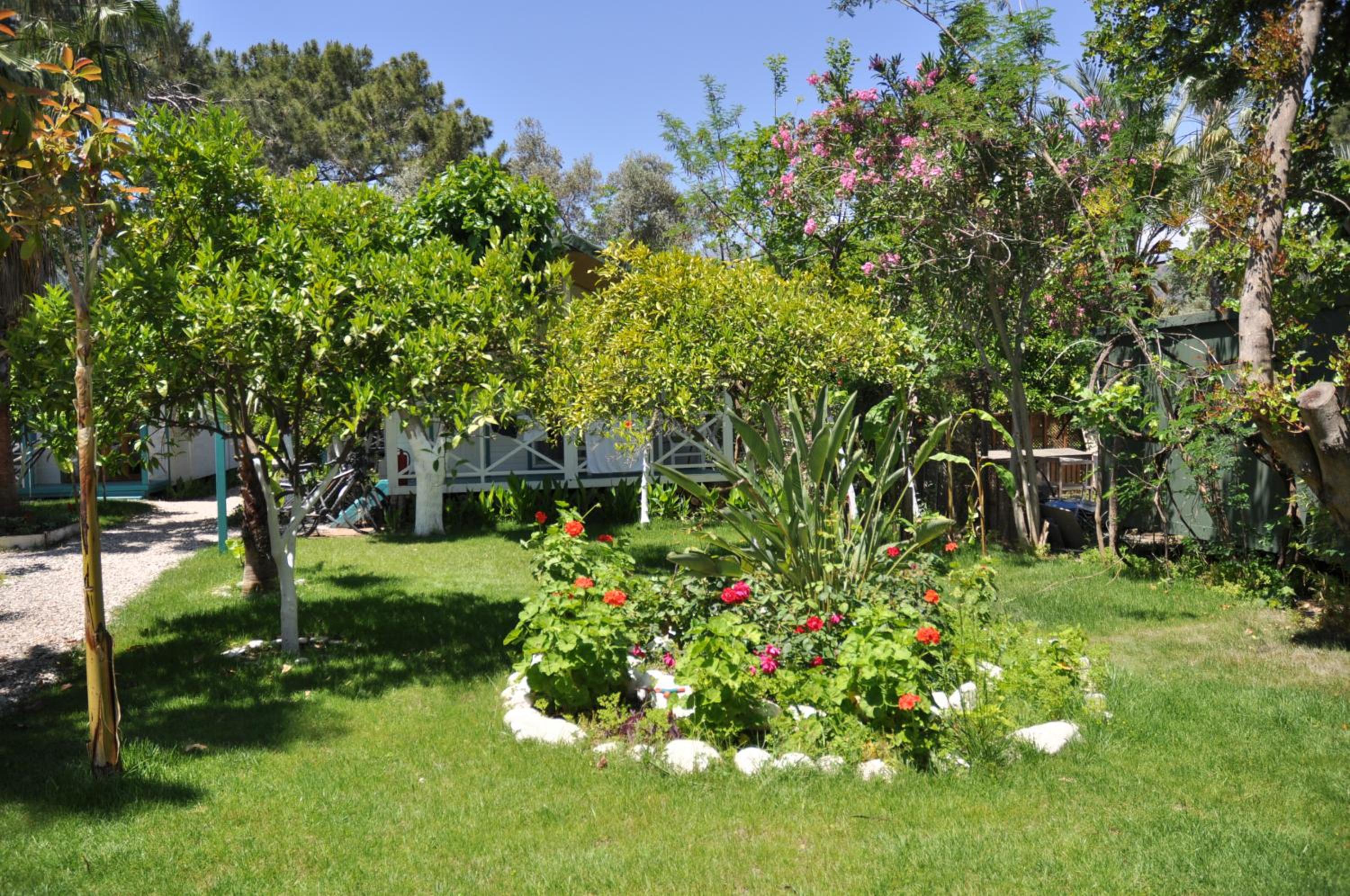 Photo 45