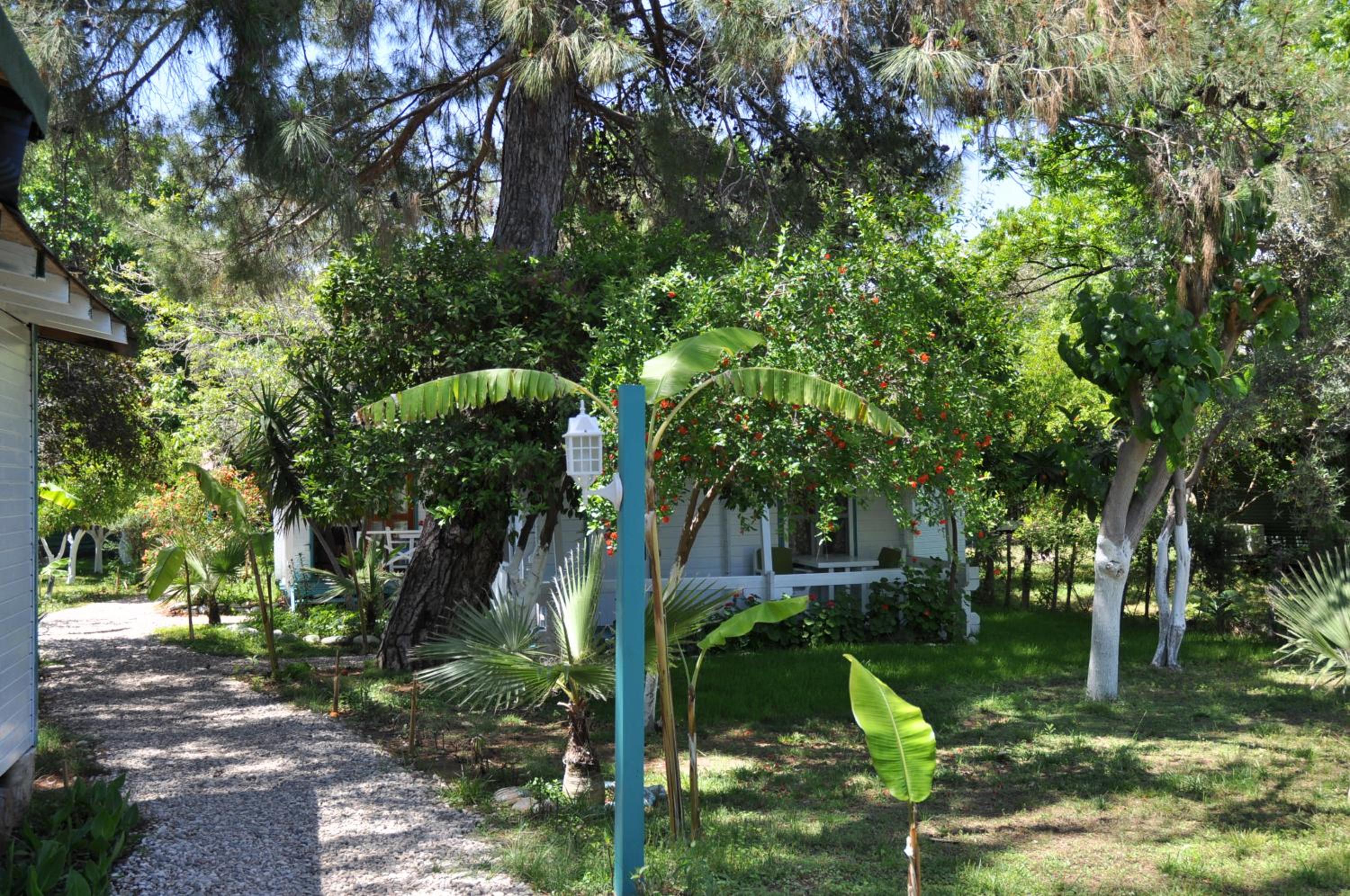 Photo 28