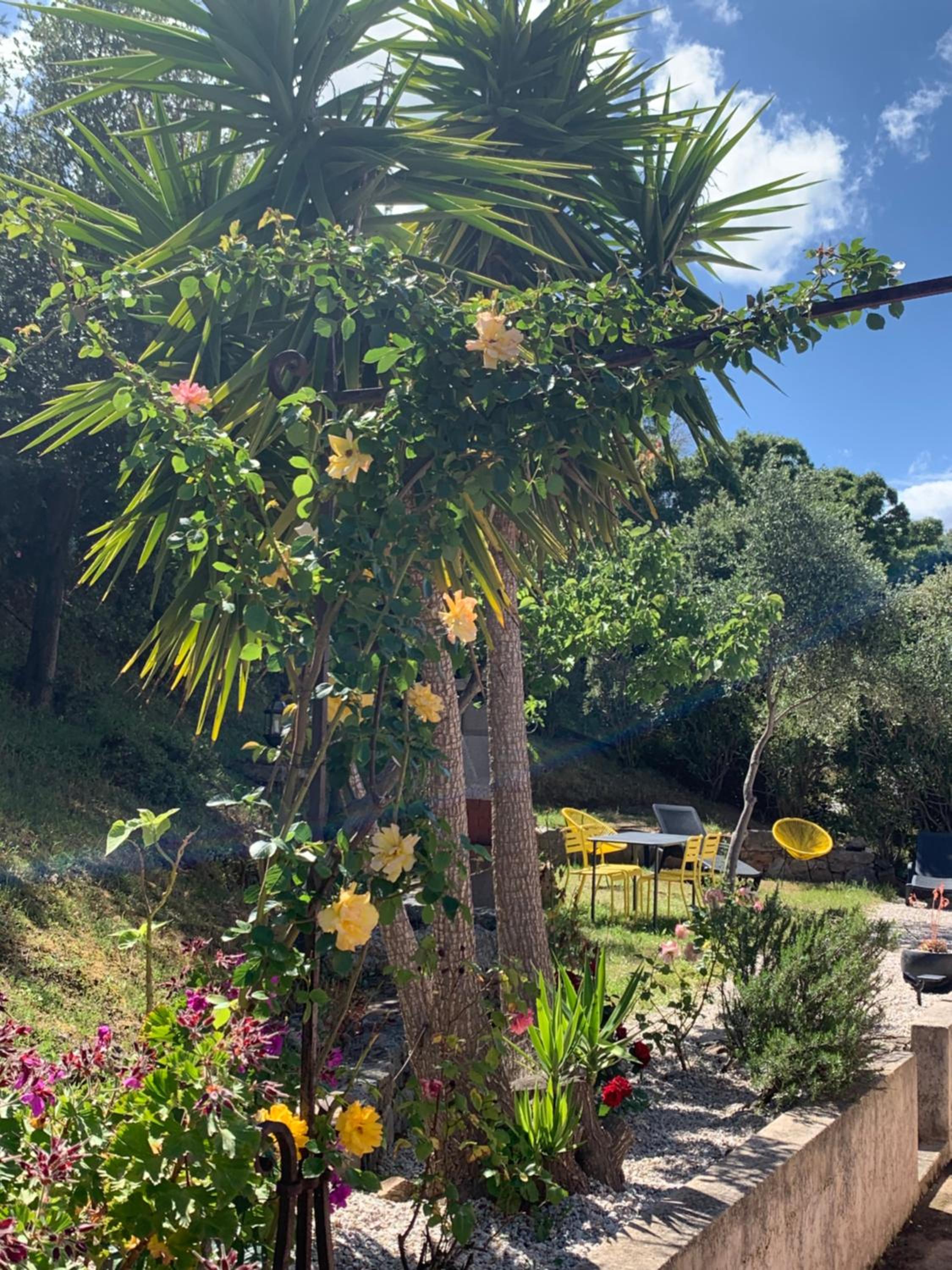 Location du Ranch