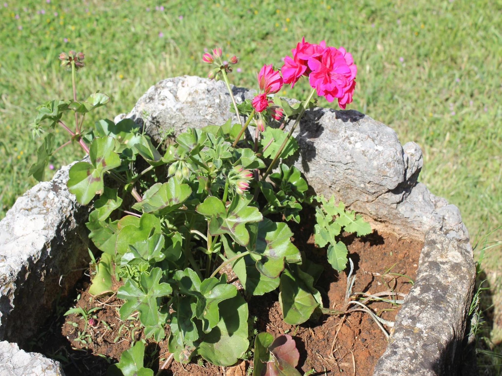 Photo 29