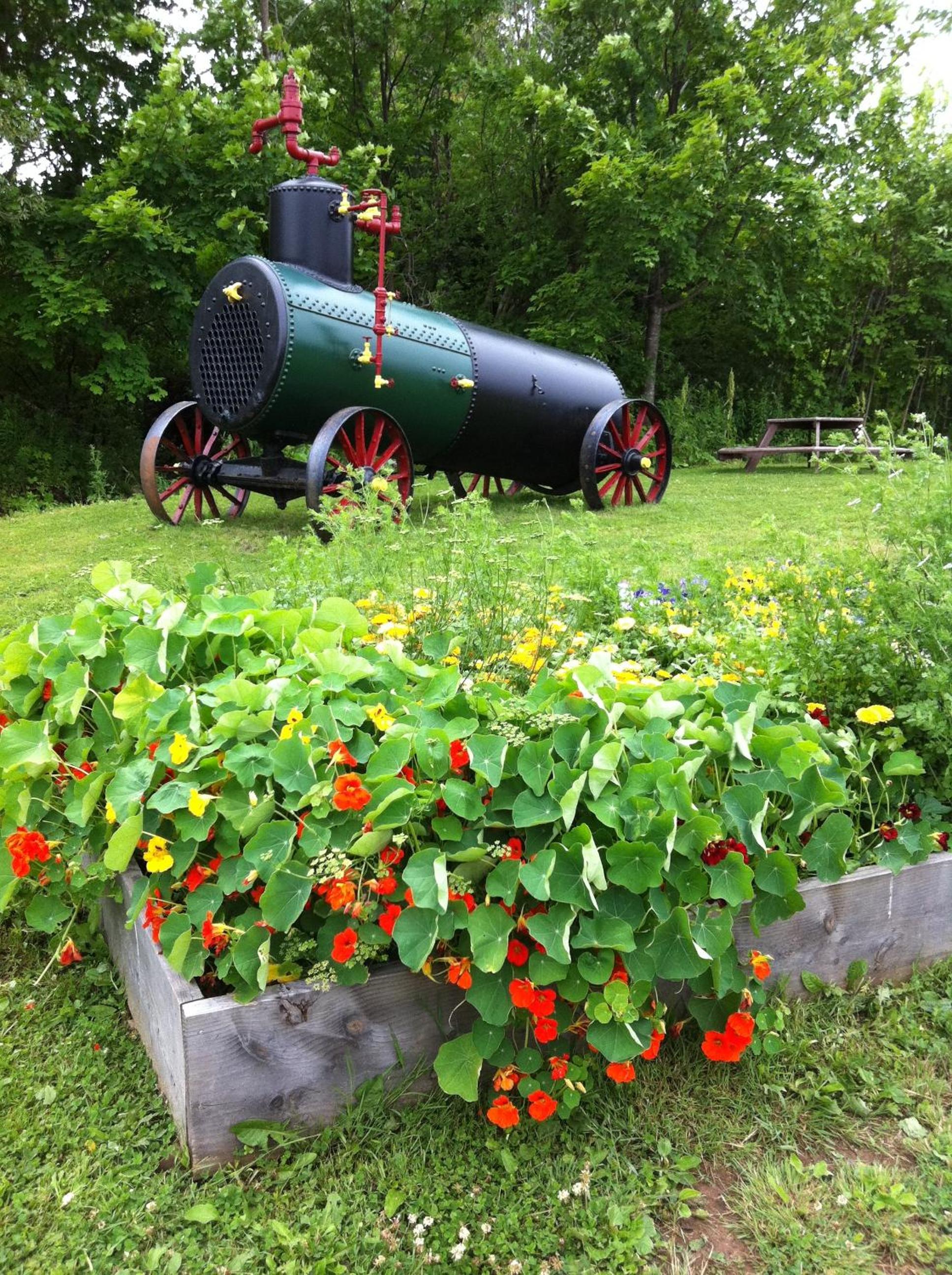 garden