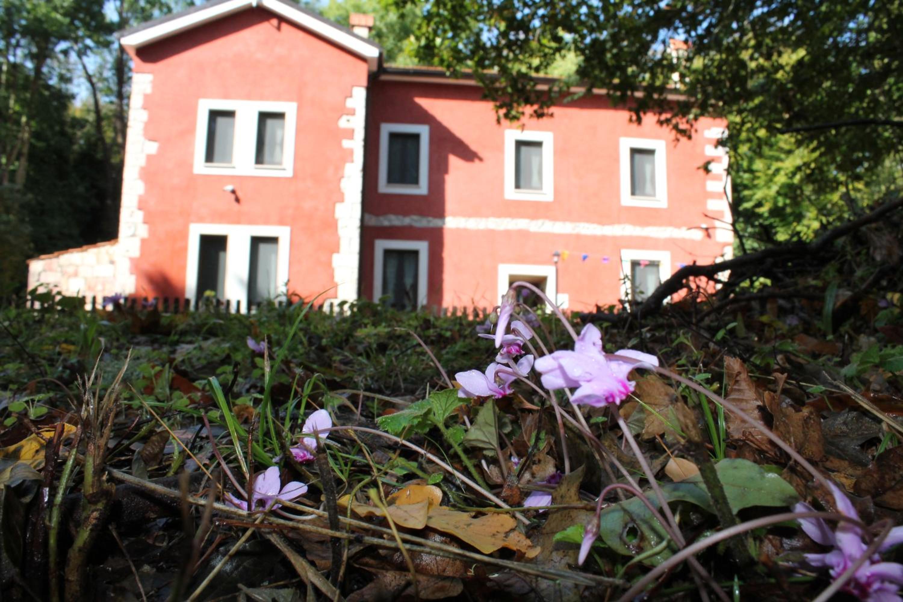 Photo 10