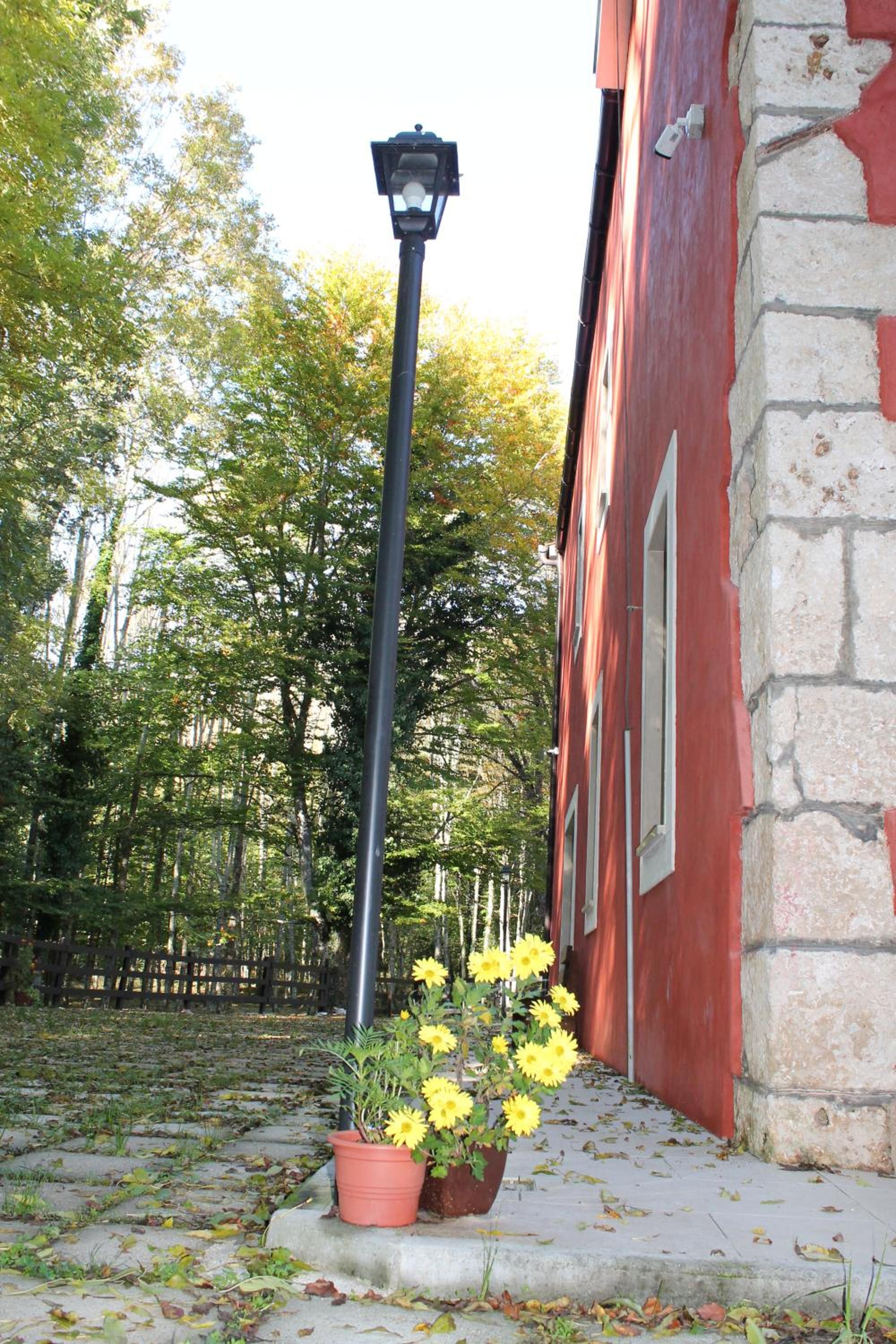Photo 13