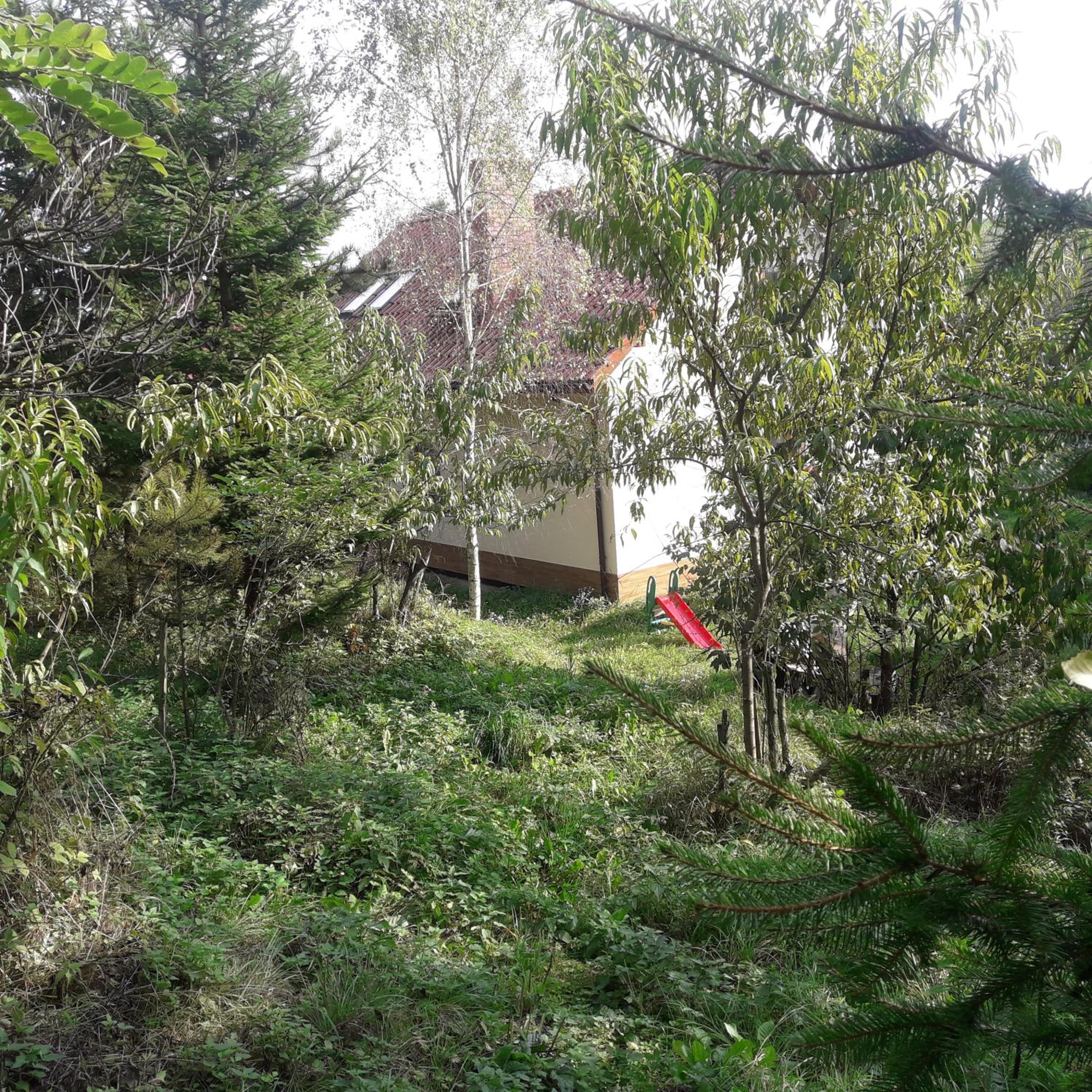 Photo 39