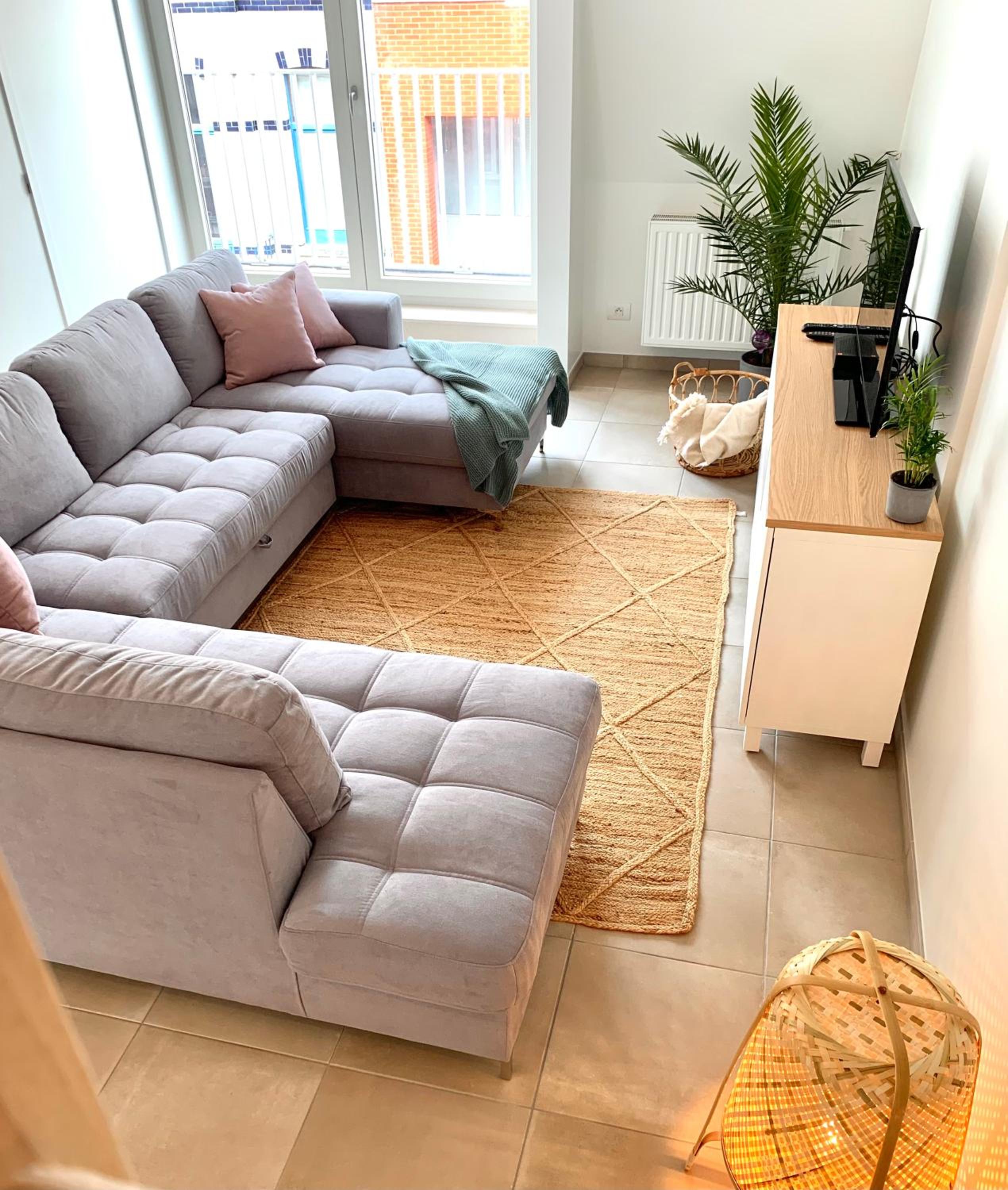 DUPLEX plus