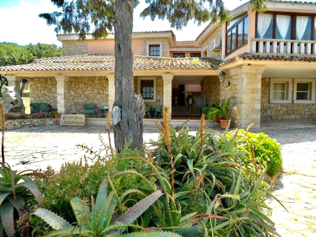 garden