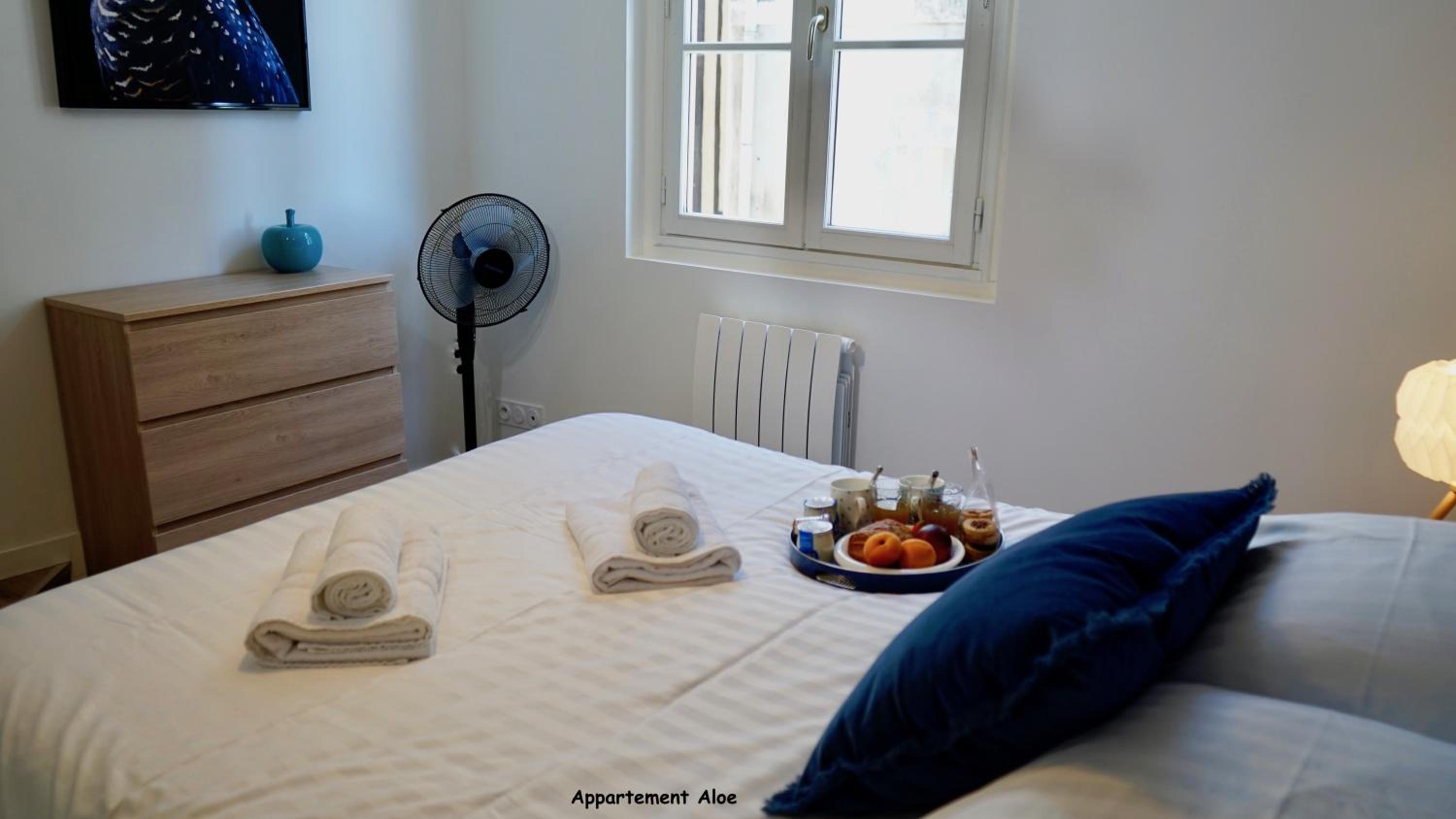 Appartements de caractère centre