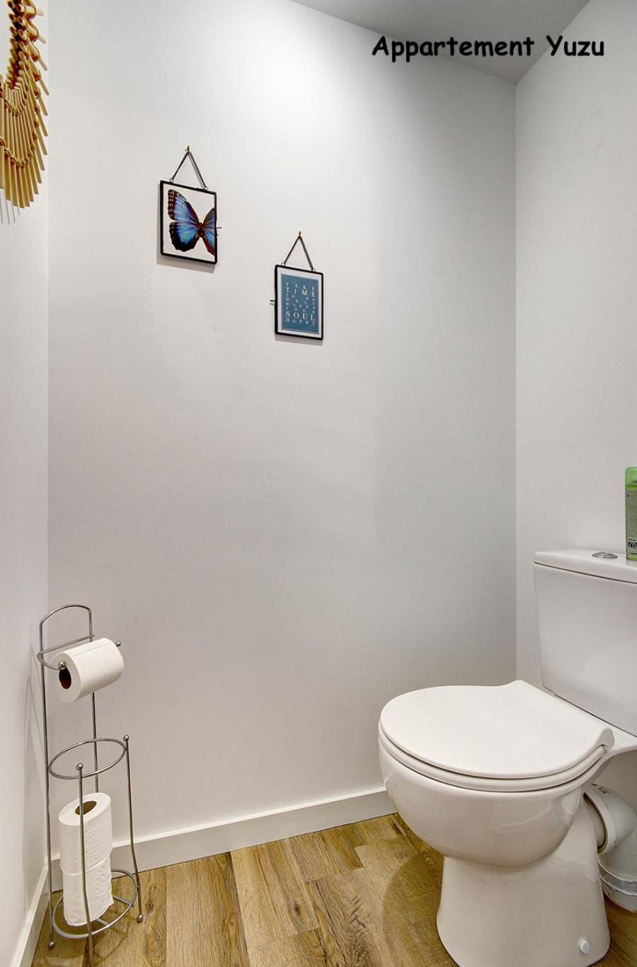 Appartements de caractère centre