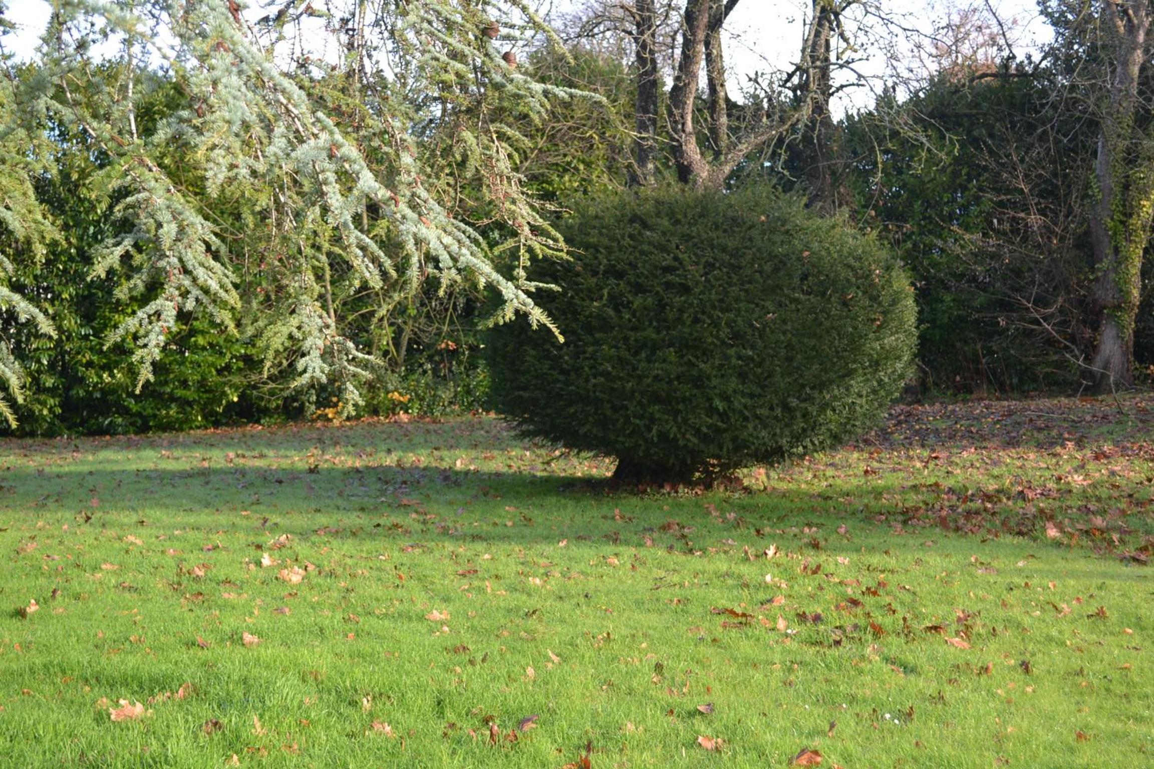 MANOIR DE GRAINCOURT view 5