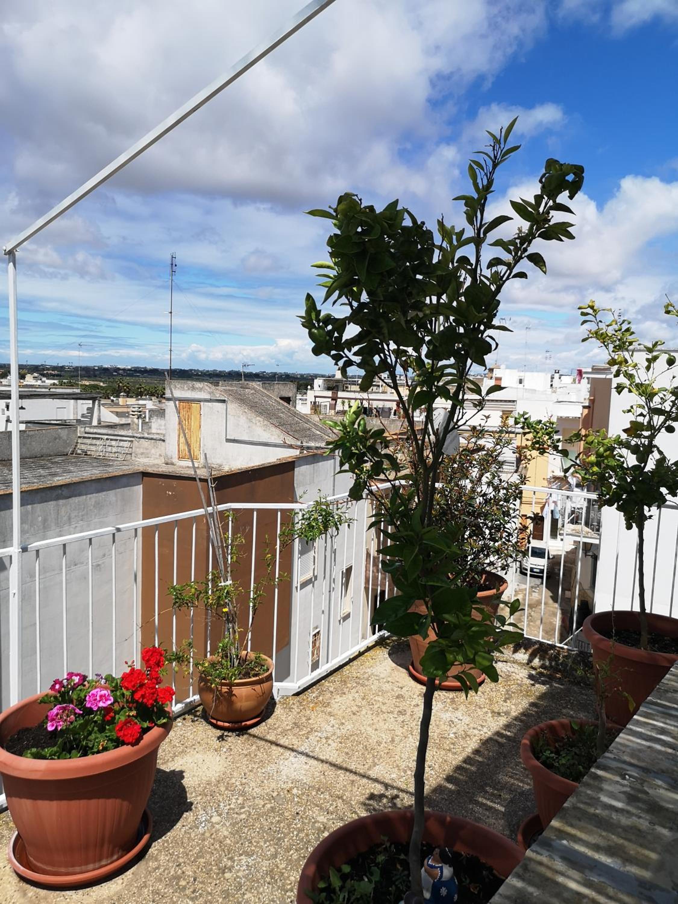 Black & White photo 5