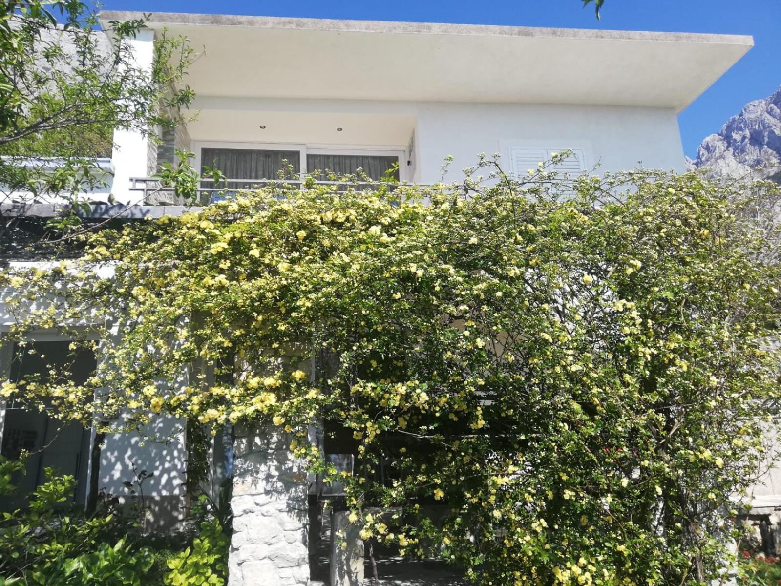 Villa Marija