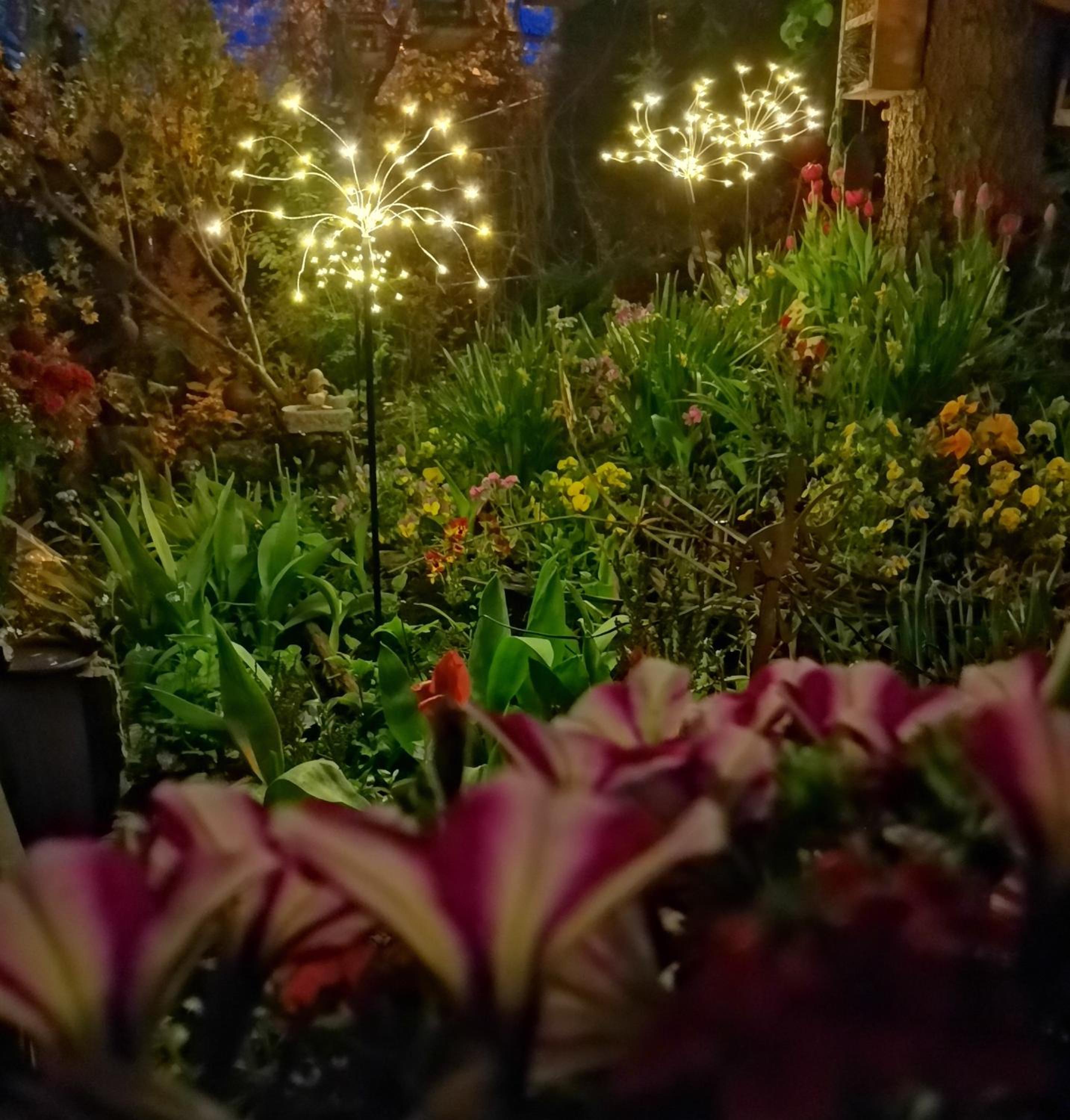Instytut Zdrowia i Hortiterapii view 2