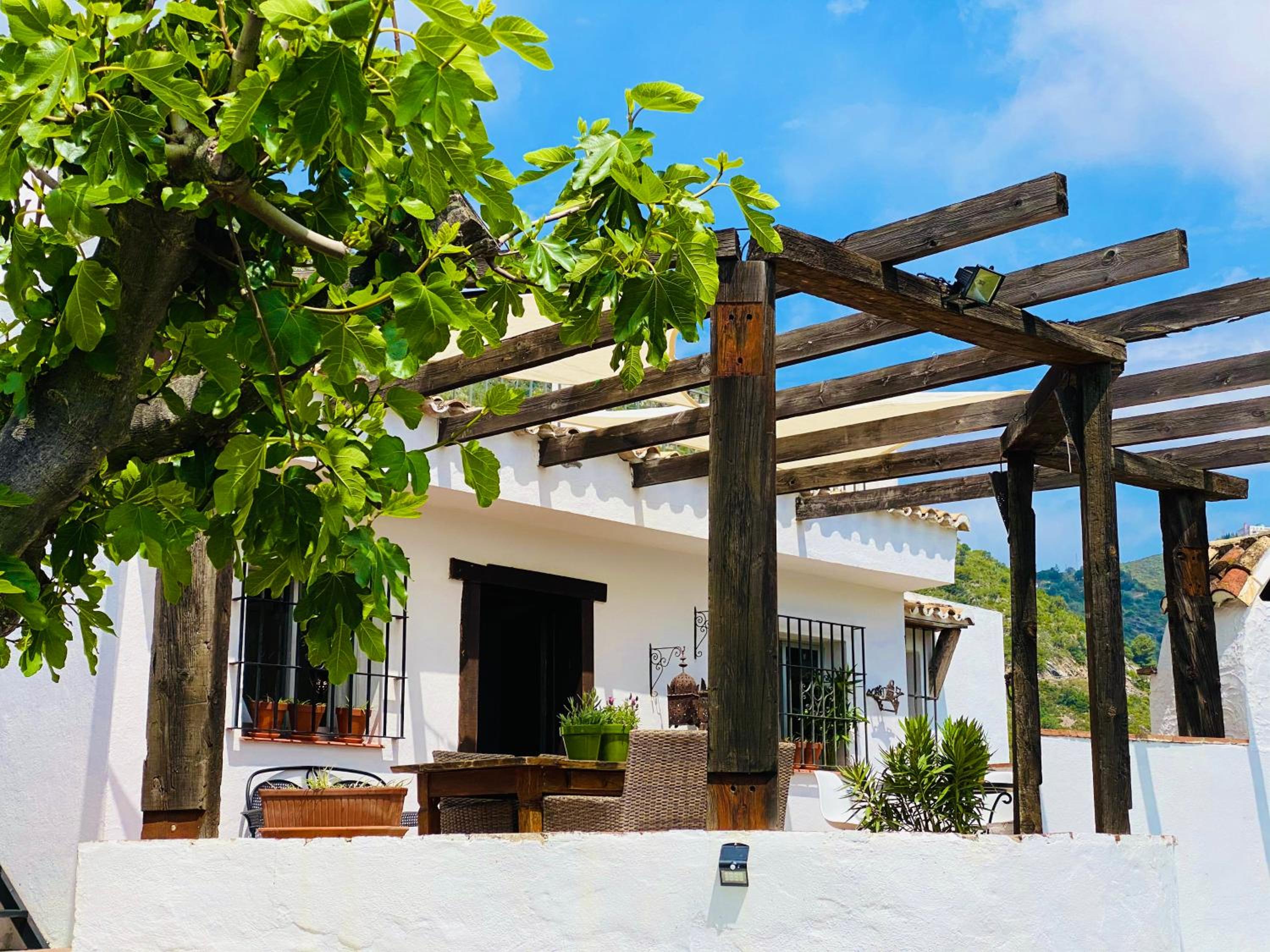 Finca Flores photo 2