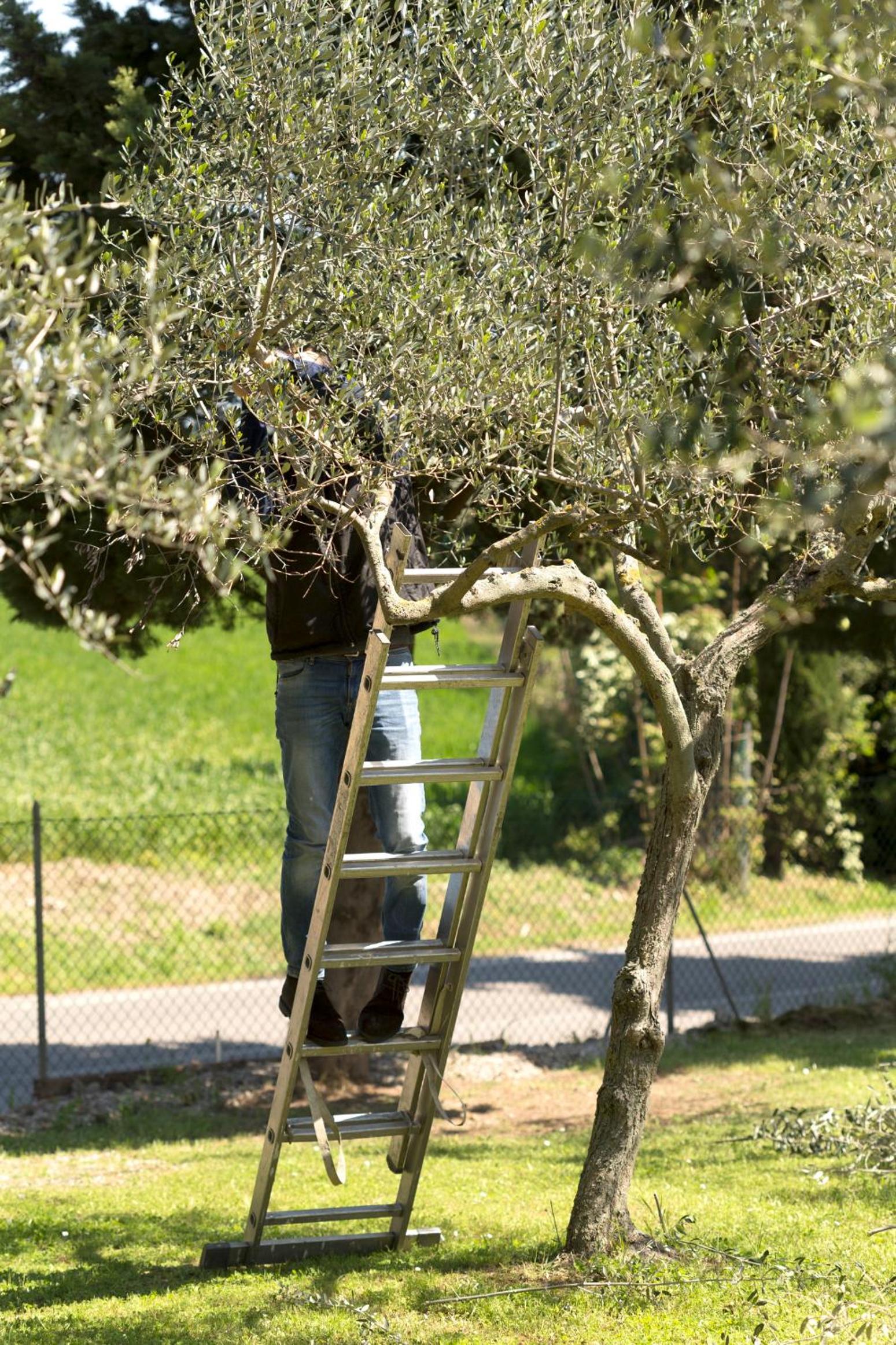 Bed&Breakfast Il Frantoio view 4
