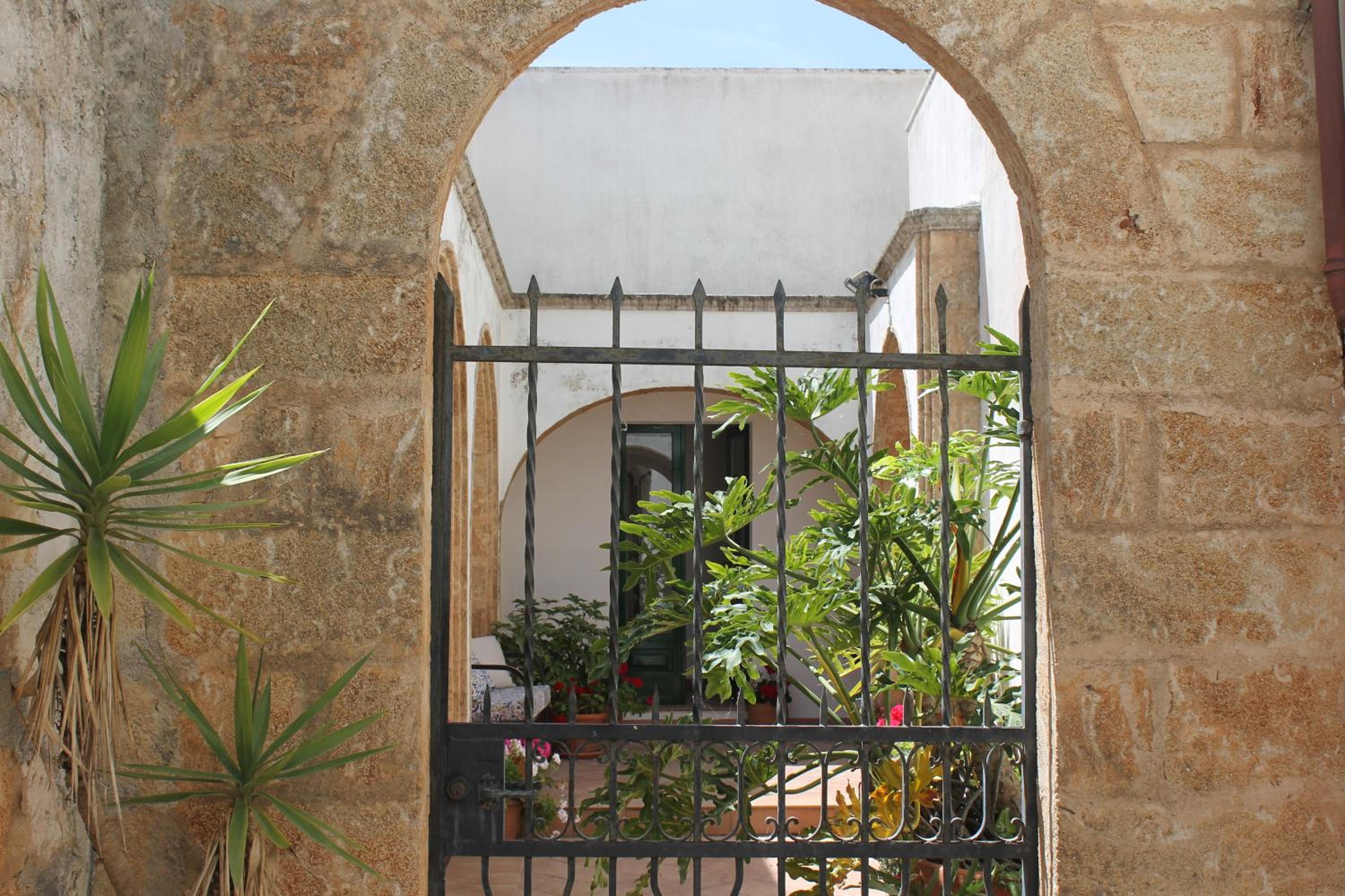 Photo 8