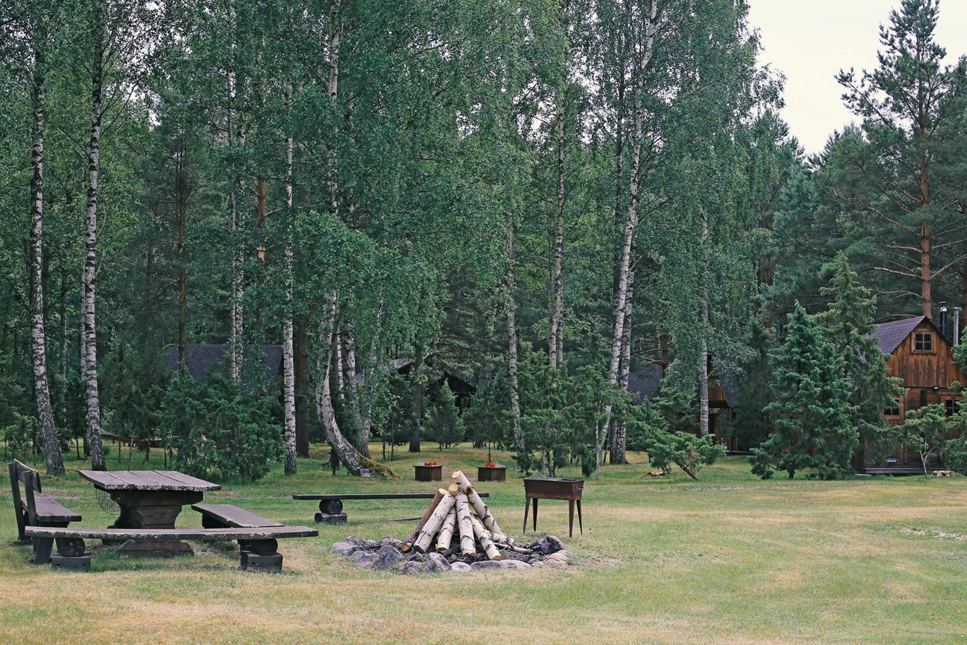 Niidupuu Camping