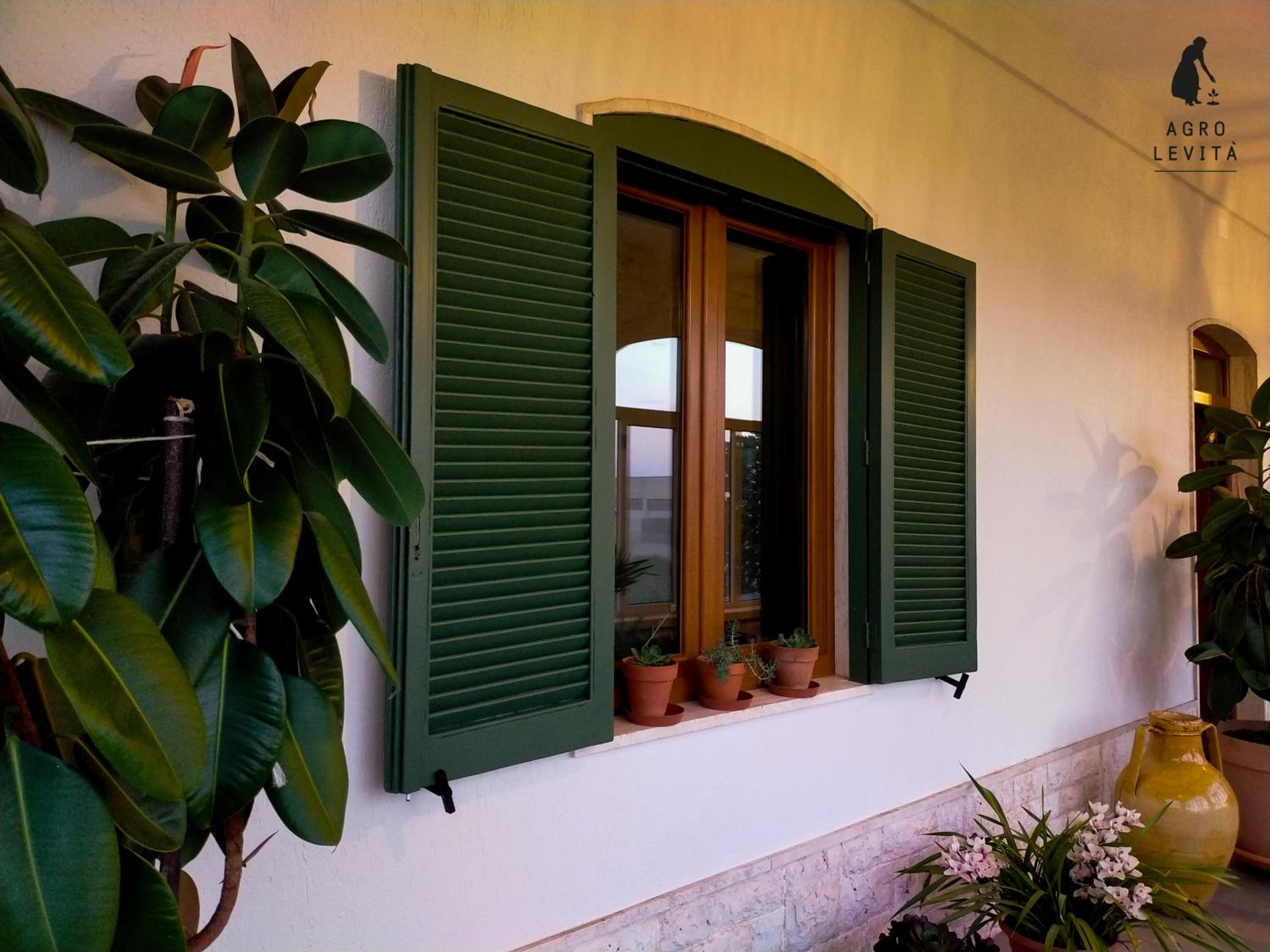 Agro Levità view 5
