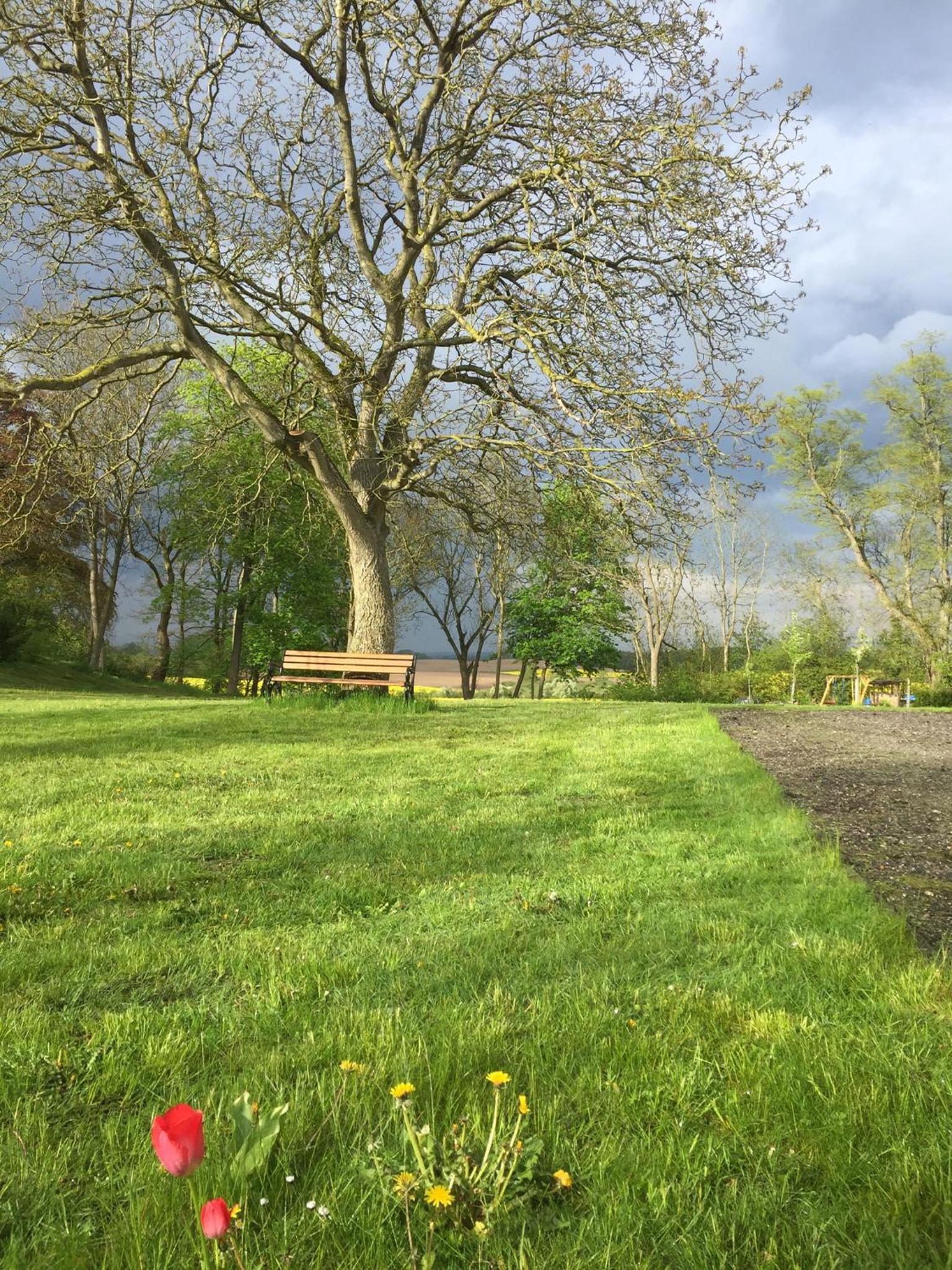 Photo 13