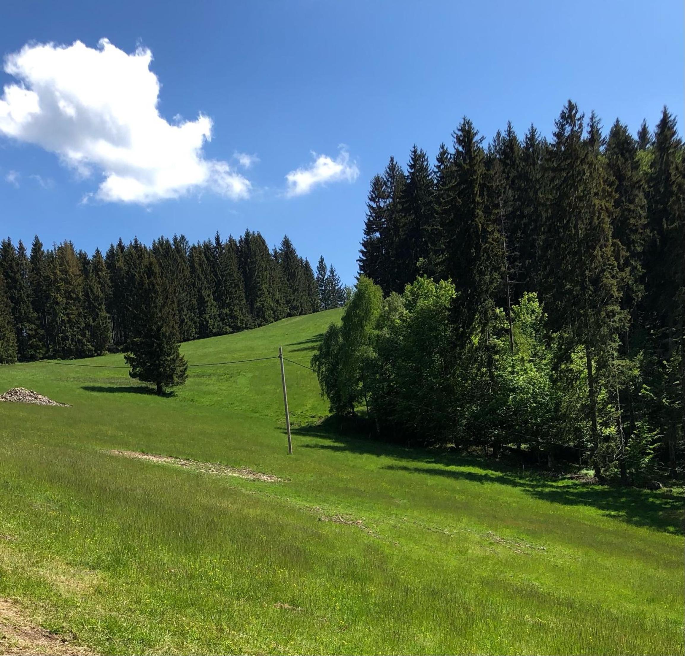 BLICK view 5