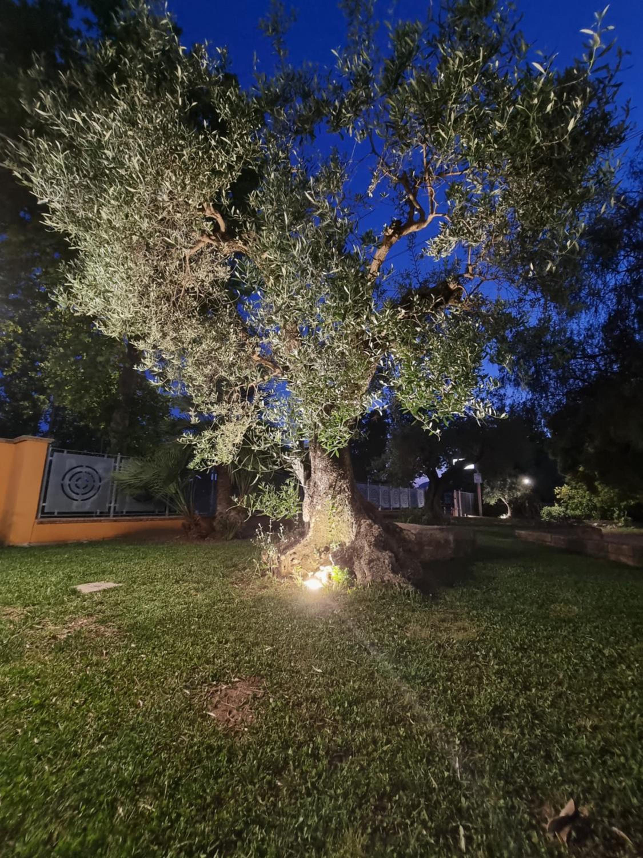 Photo 25