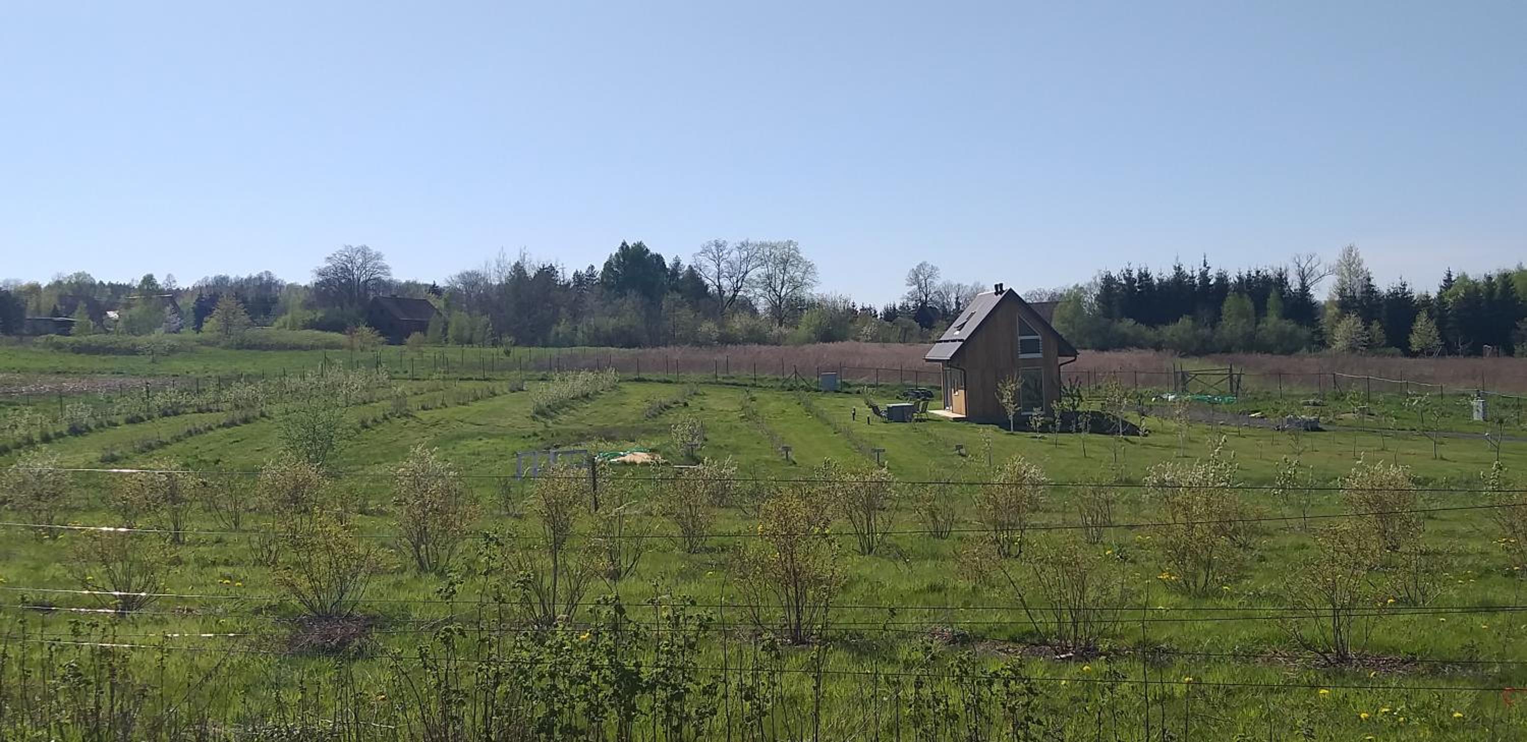 E Berry Farm - Slow life home