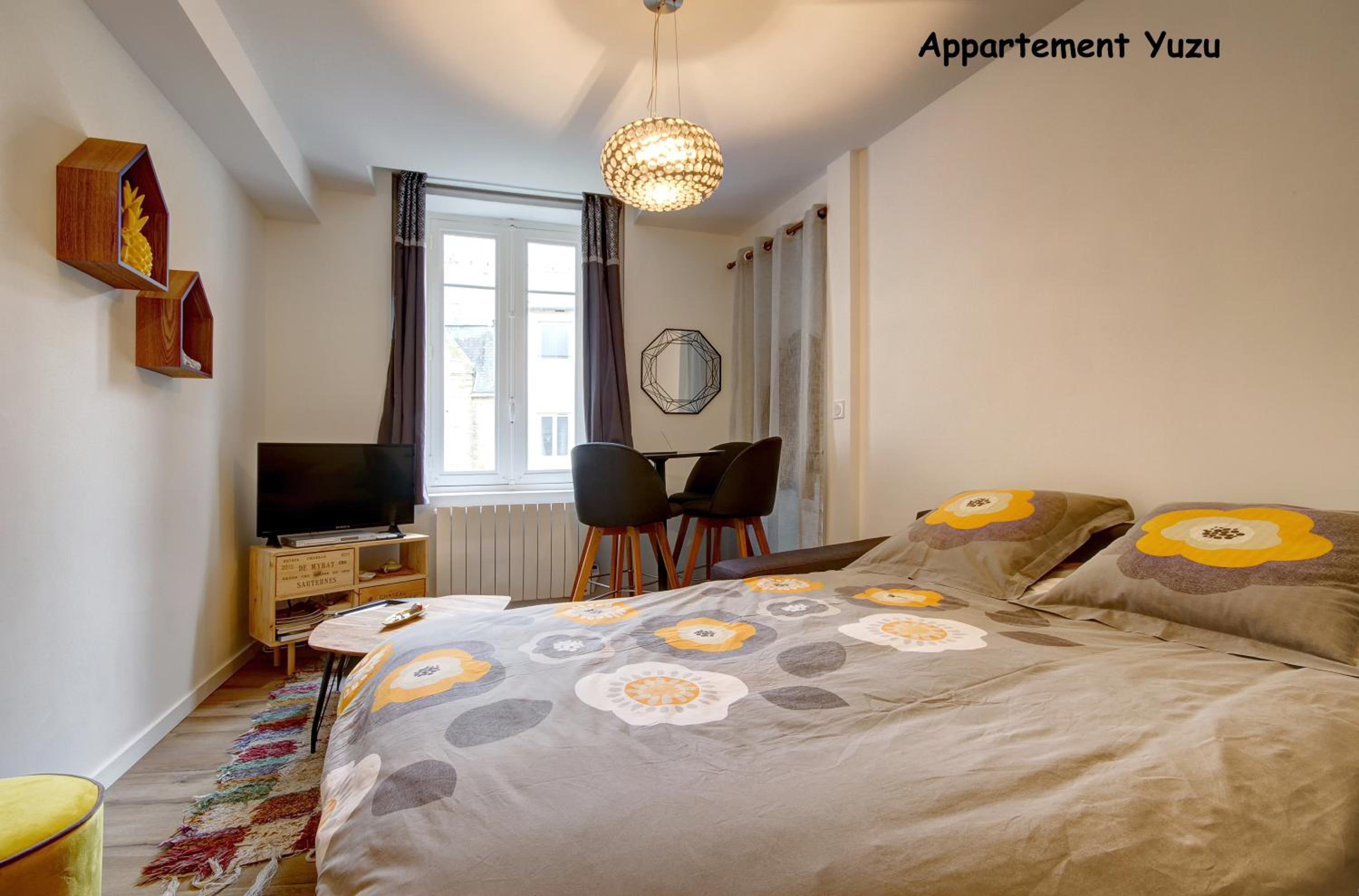Appartements de caractère centre