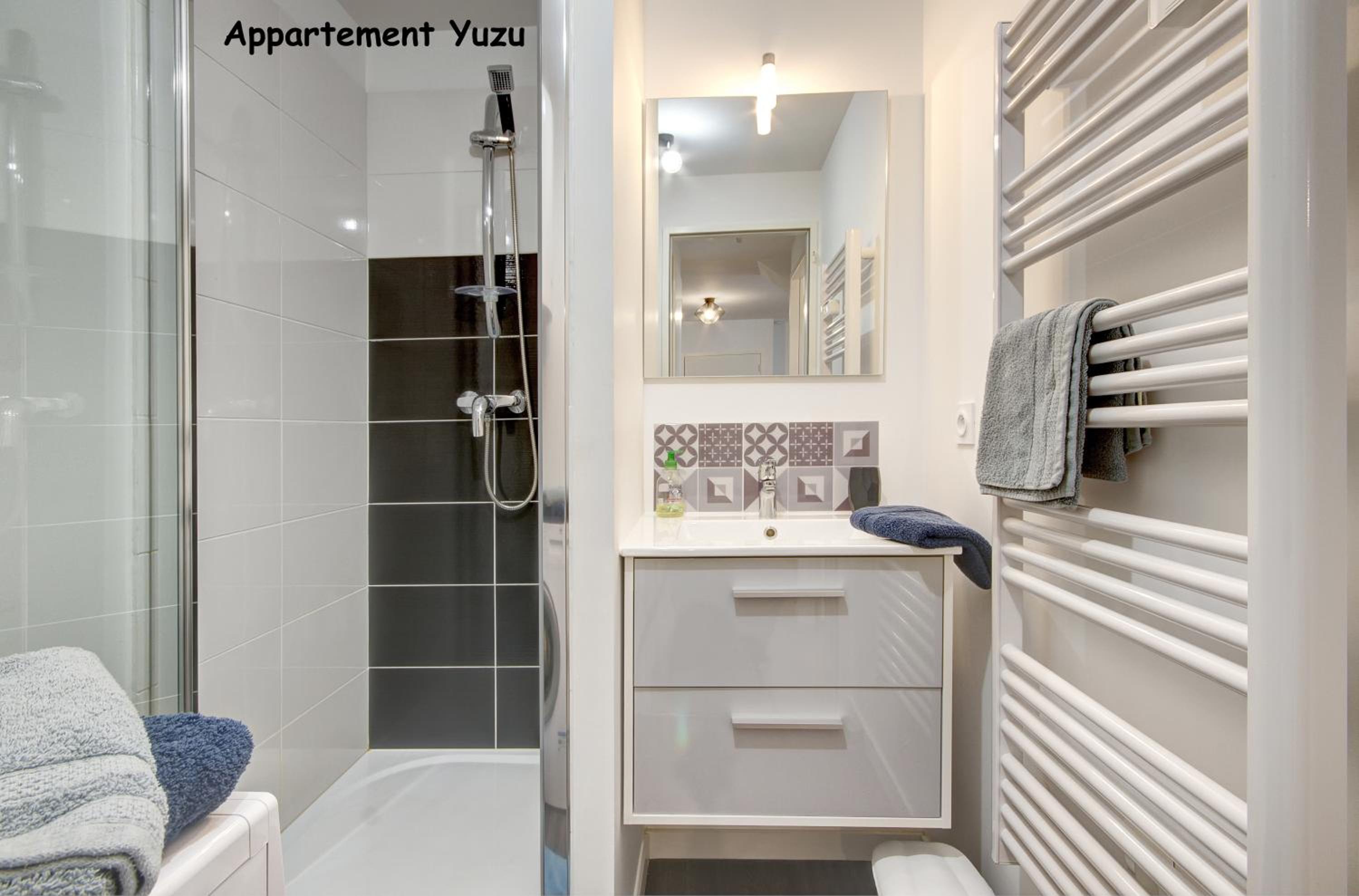 Appartements de caractère centre