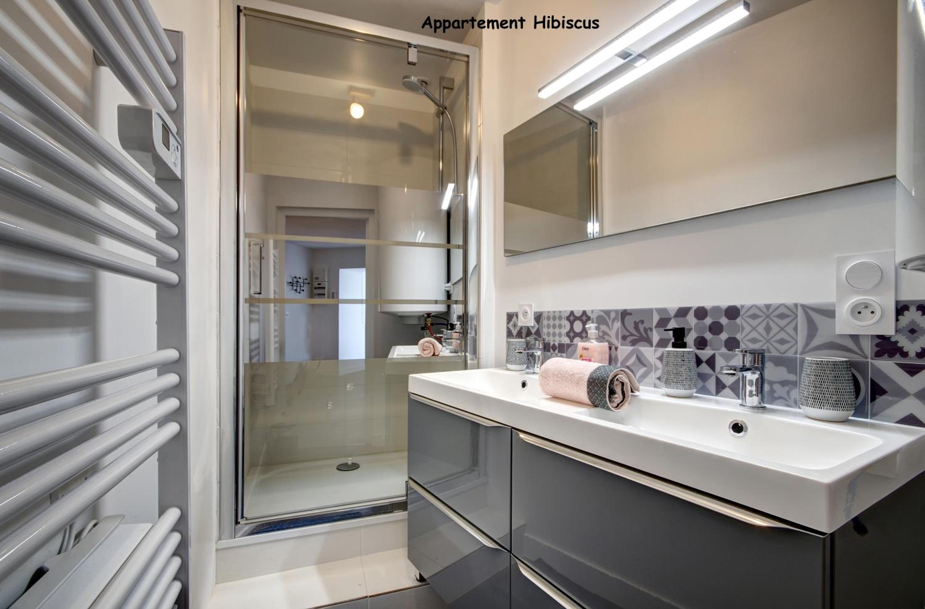 Appartements de caractère centre