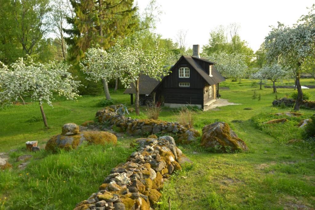 Photo 22