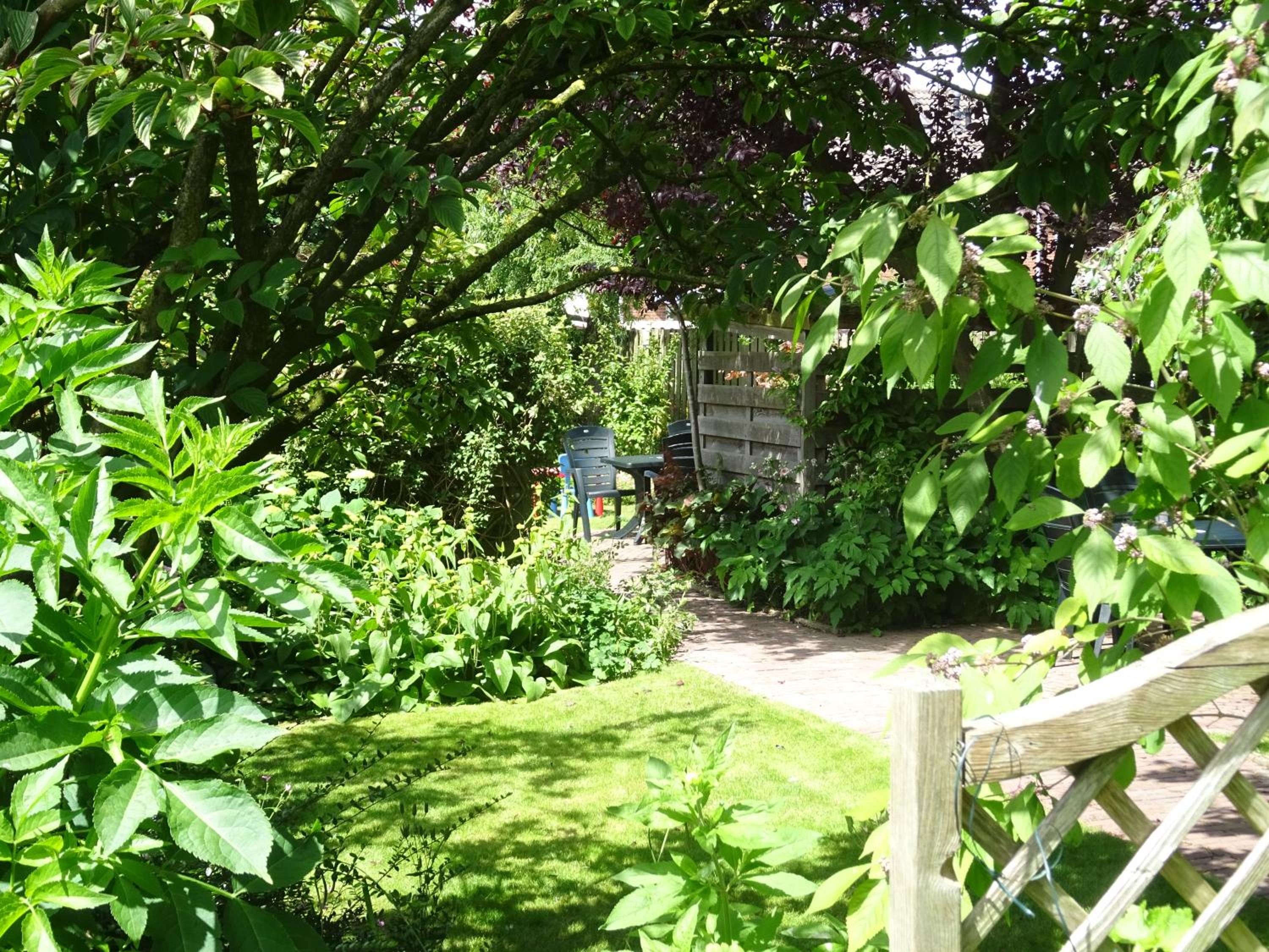 Photo 10